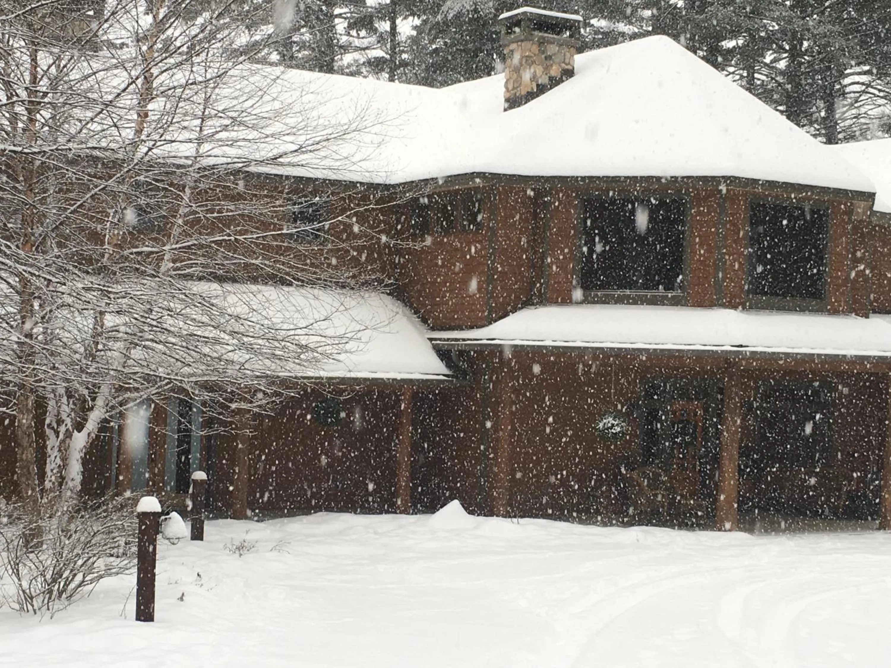 Facade/entrance in The Fern Lodge