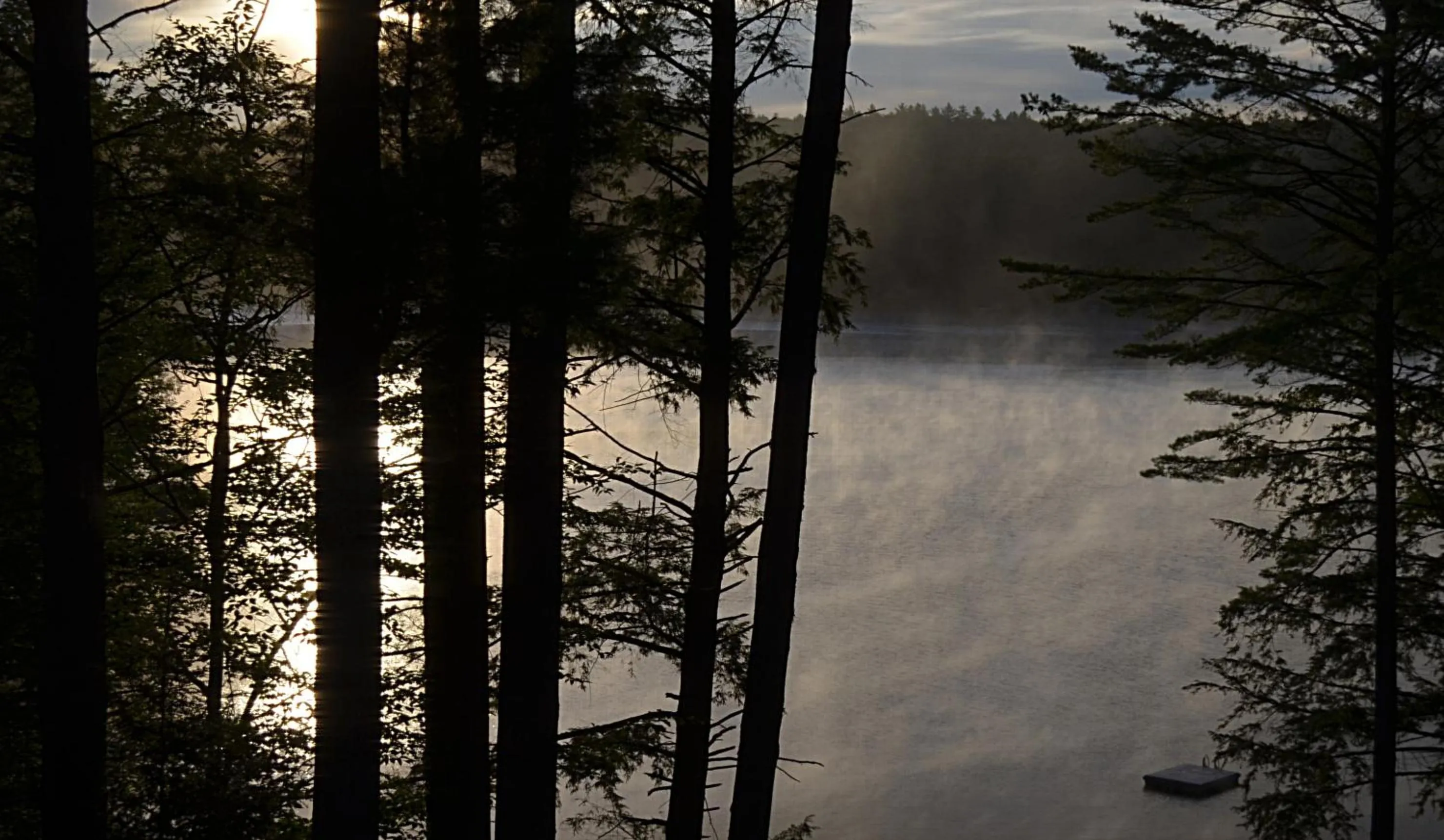 View (from property/room) in The Fern Lodge