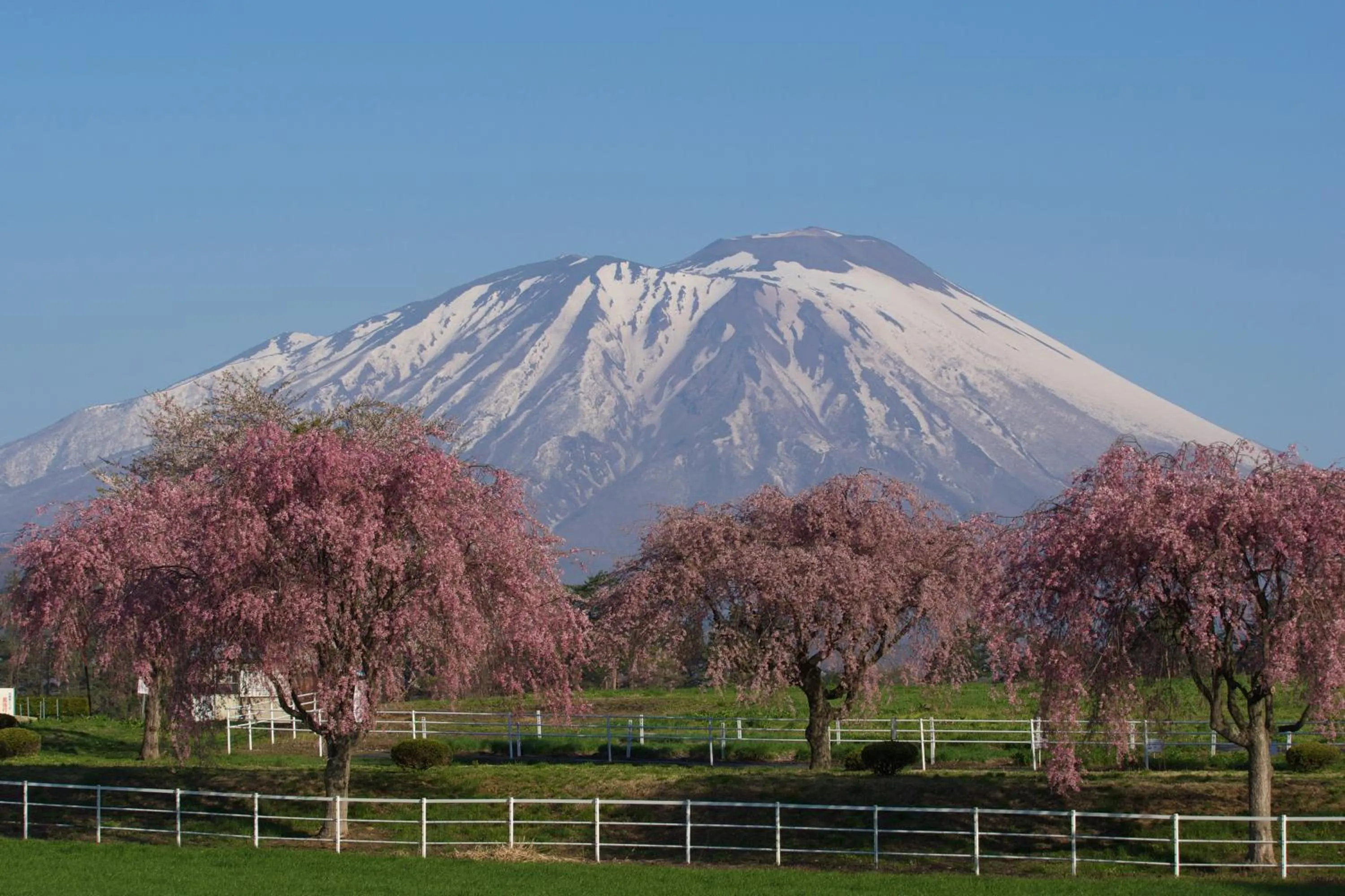 Nearby landmark in Daiwa Roynet Hotel Morioka