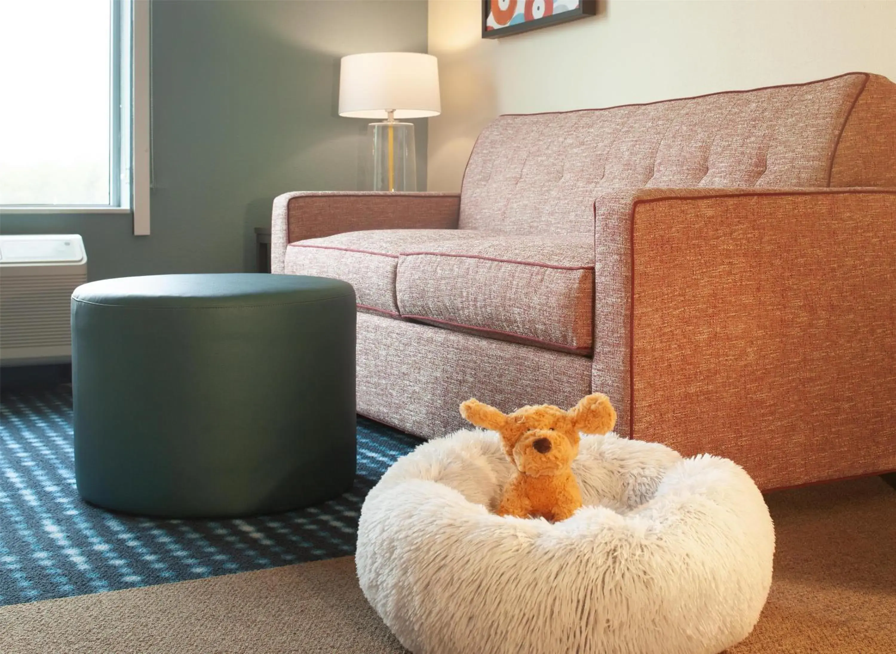 Photo of the whole room in Home2 Suites By Hilton Jackson Photo of the whole room in Home2 Suites By Hilton Jackson