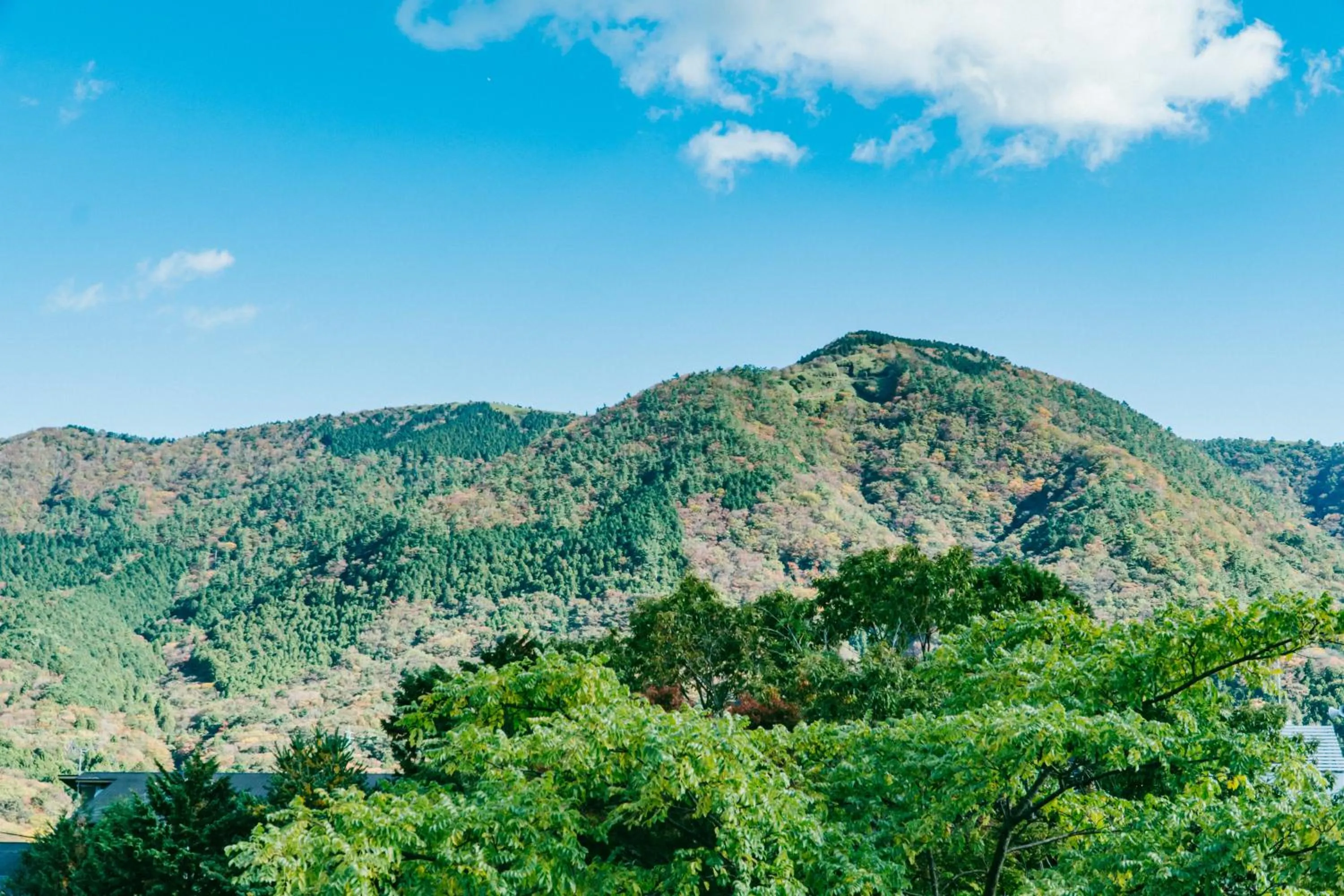 Onsen Guesthouse HAKONE TENT