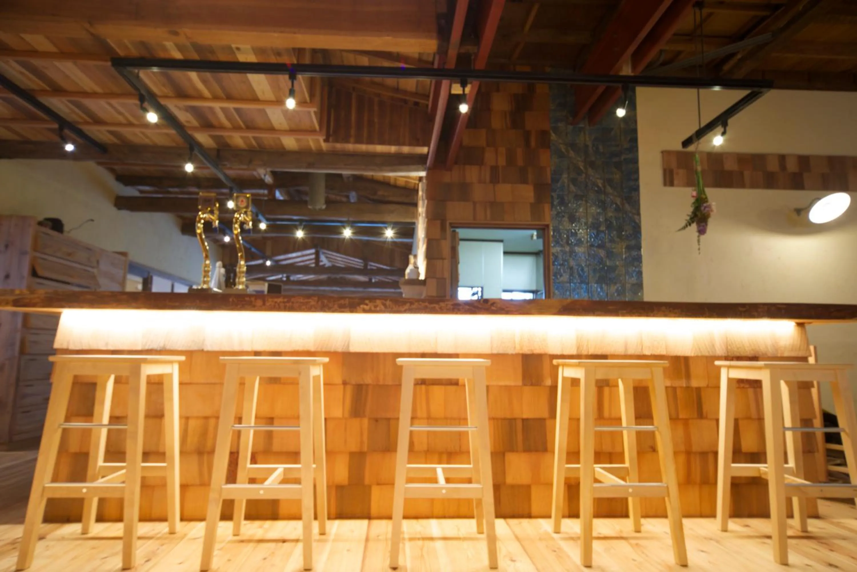 Lounge or bar in Onsen Guesthouse HAKONE TENT