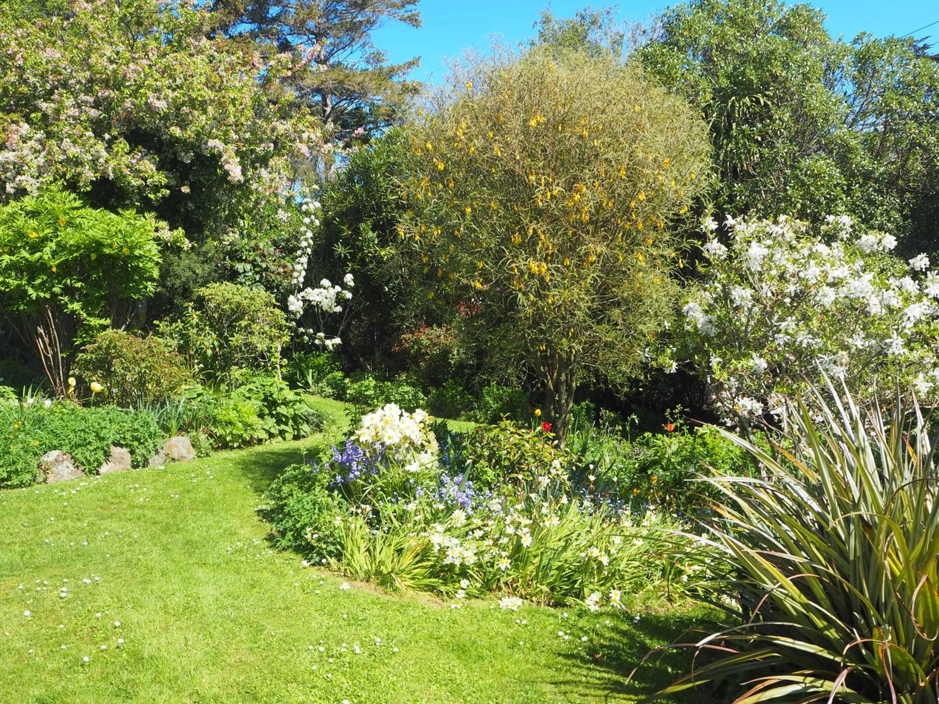 Captain Eady's Lookout