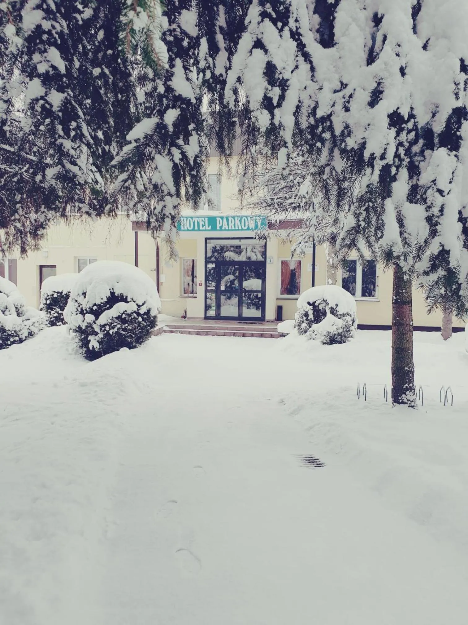 Winter in Hotel Parkowy