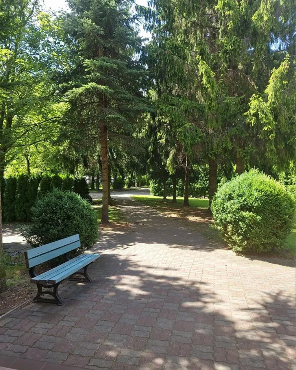 Garden in Hotel Parkowy