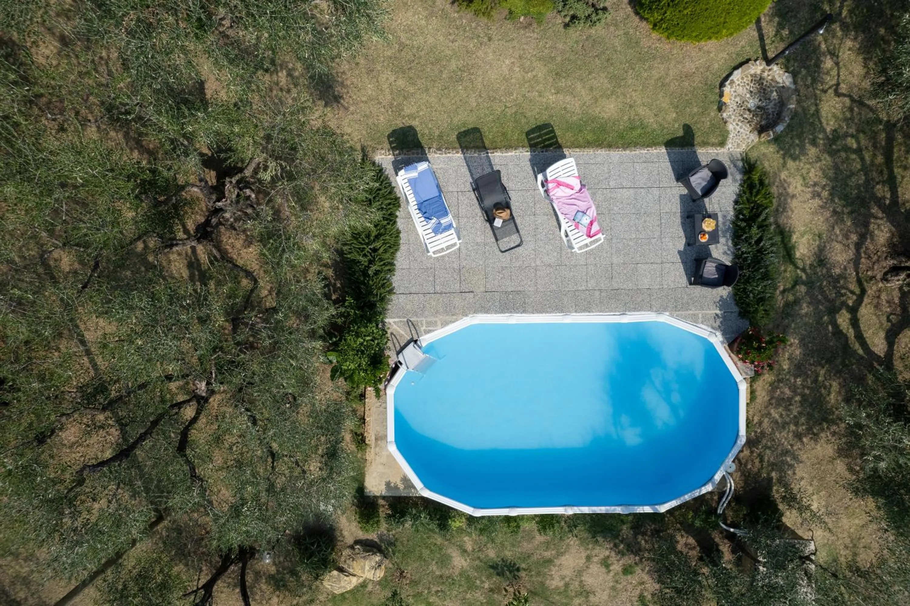 Swimming pool in Casa Mony