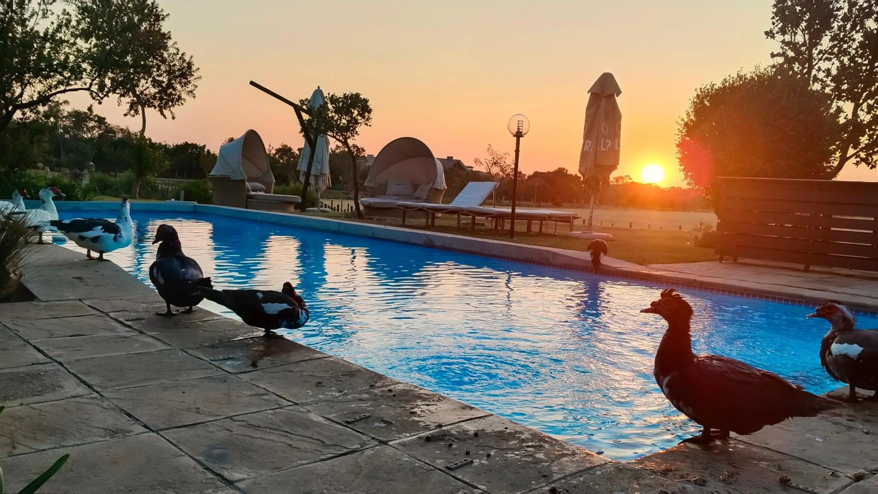 Riboville Boutique Hotel And Restaurant