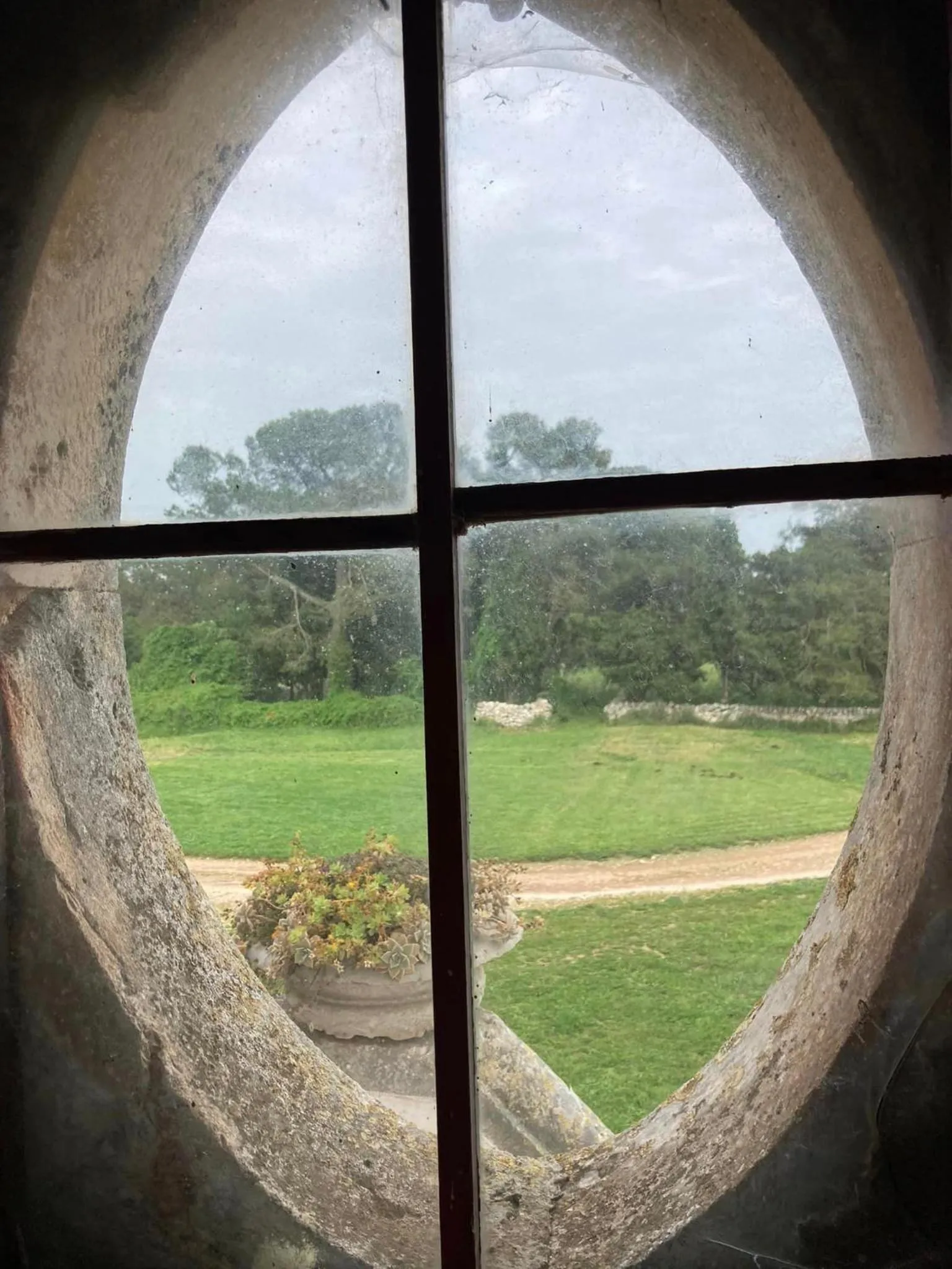 View (from property/room) in Masseria Murgia Albanese