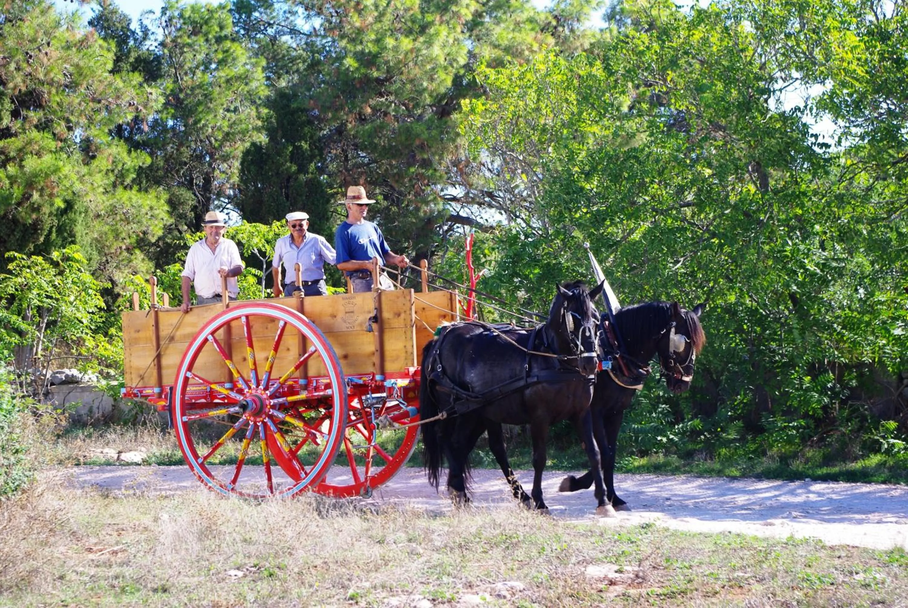 Horse-riding in Masseria Murgia Albanese