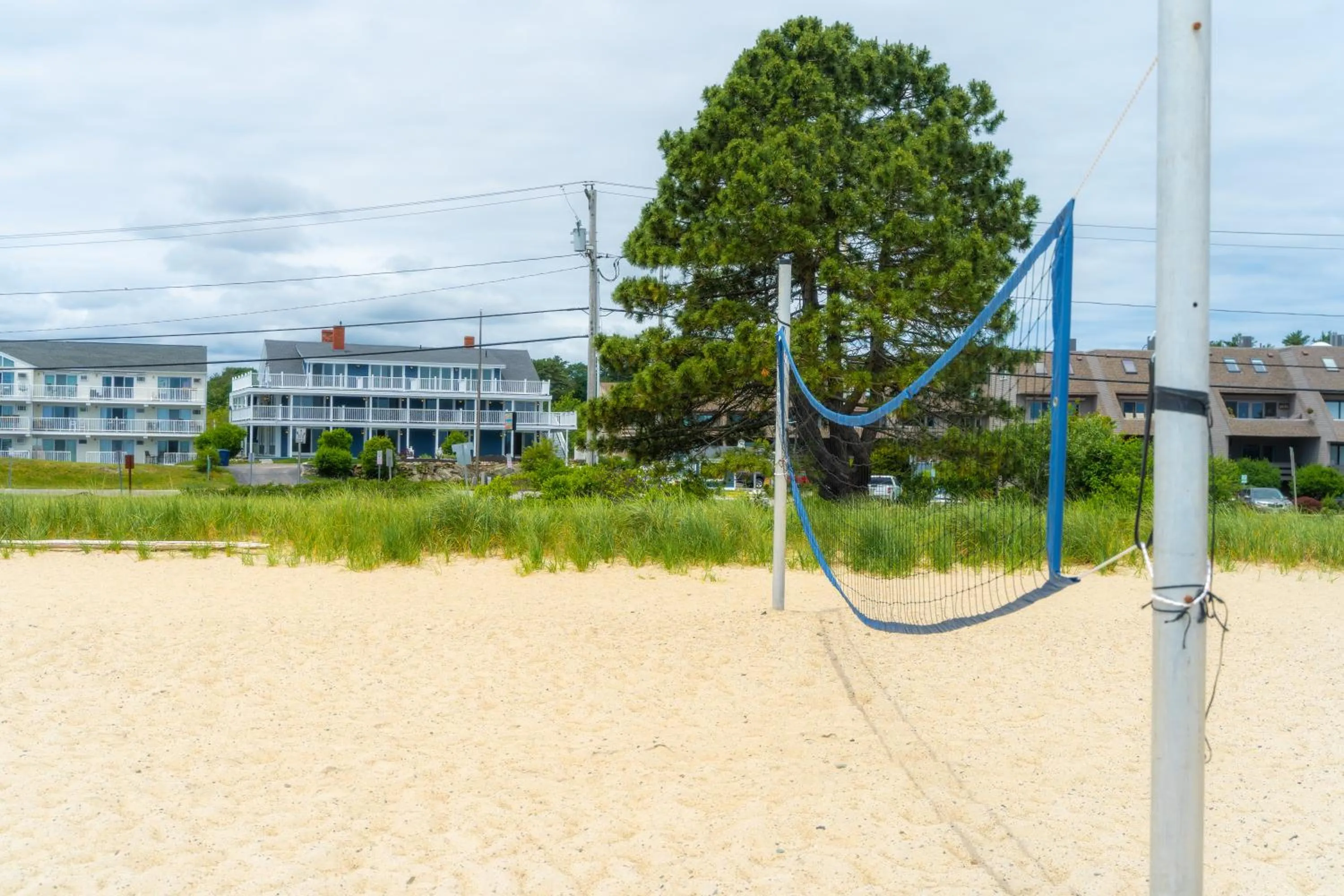 Natural landscape in 935 Ocean, a Beachside Inn