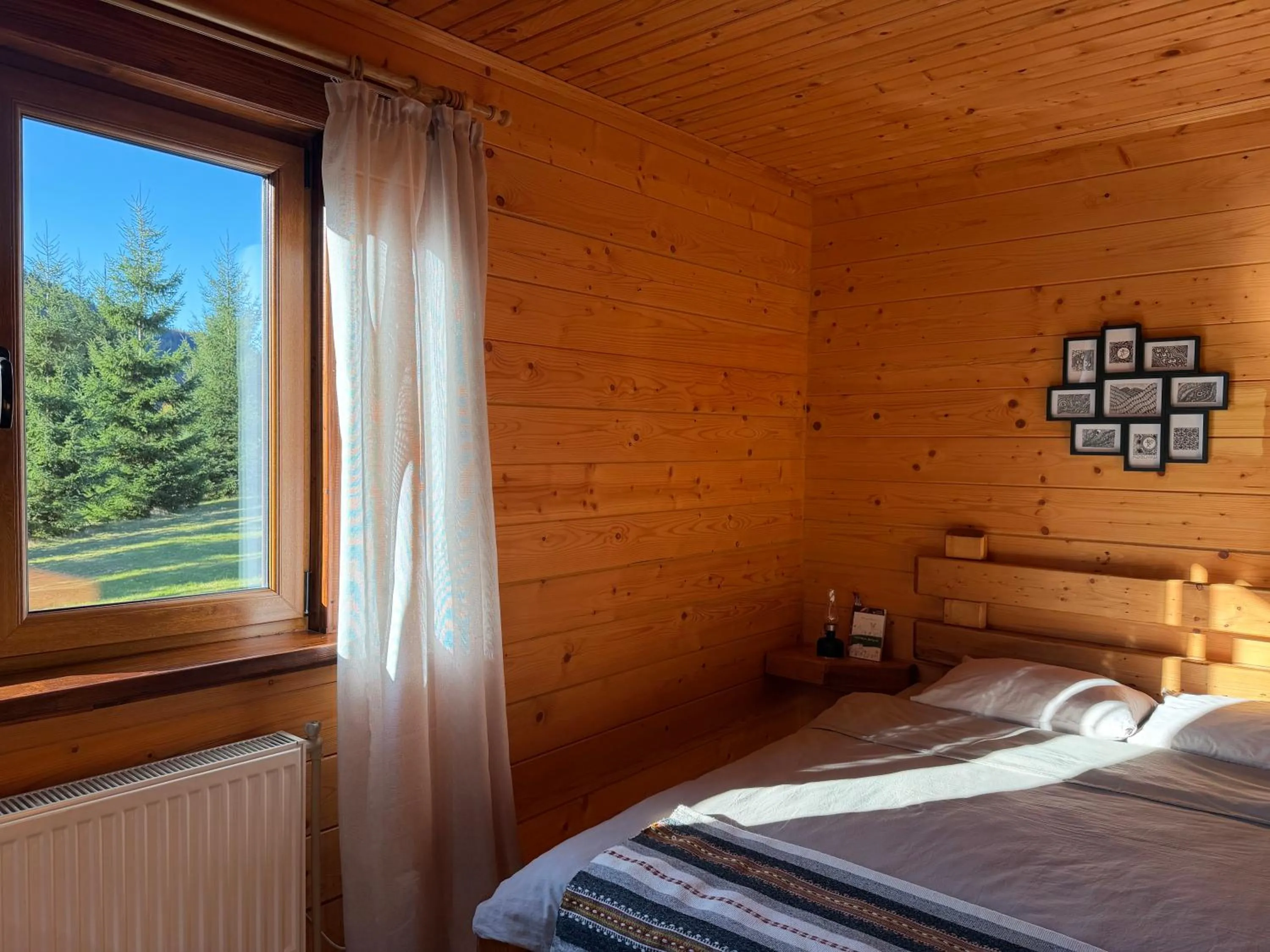 Photo of the whole room, Bed in Kozichky Guest House