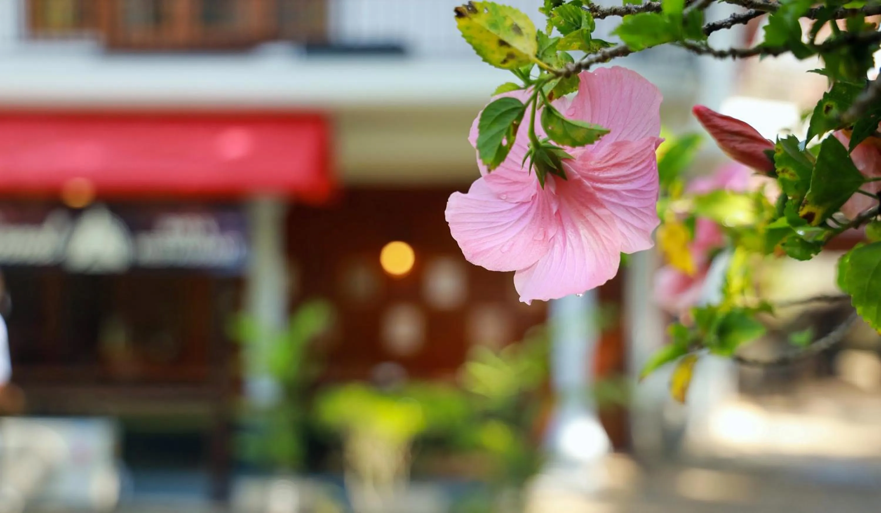 Garden in Wisdom Boutique Resort