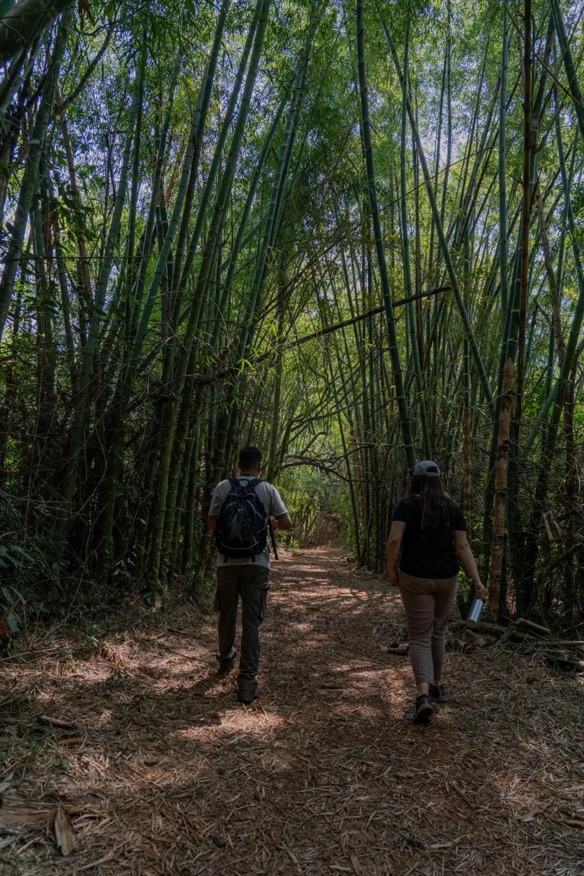 Natural landscape in Reserva Natural Iguazú - Pristine Luxury Camp