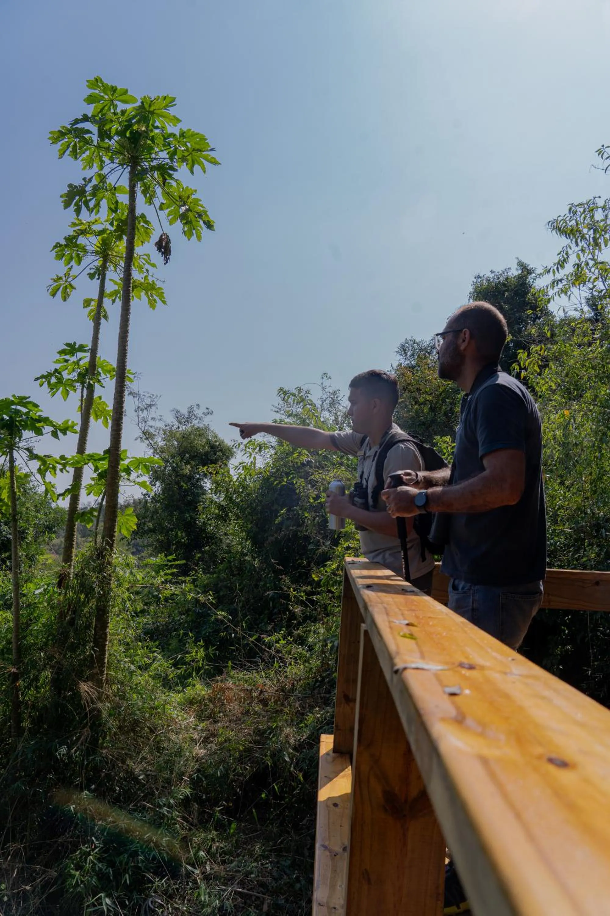 Natural landscape in Reserva Natural Iguazú - Pristine Luxury Camp