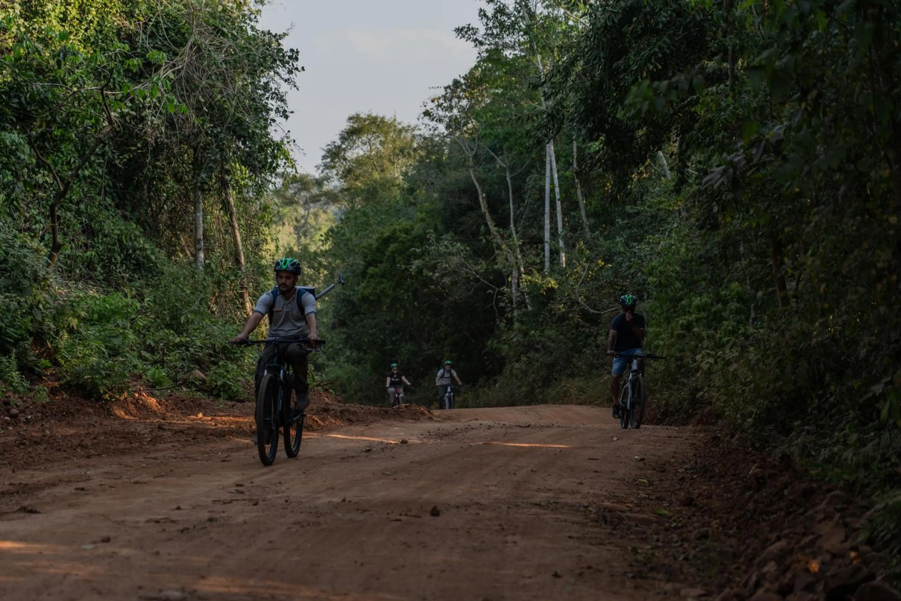 Natural landscape in Reserva Natural Iguazú - Pristine Luxury Camp