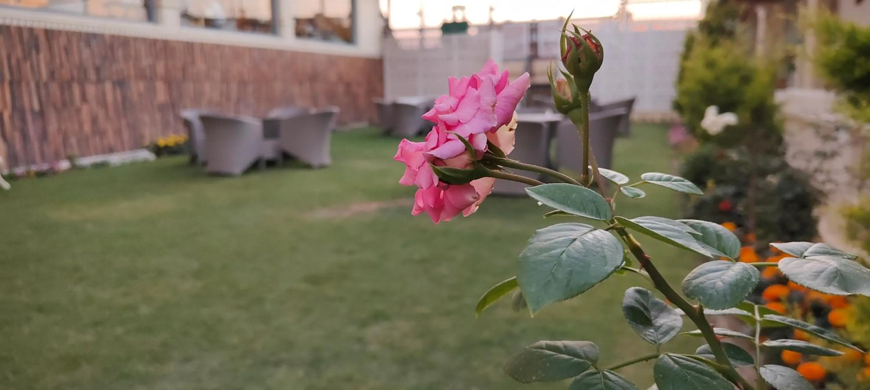 Garden in ARCO Hotels and Resorts Srinagar
