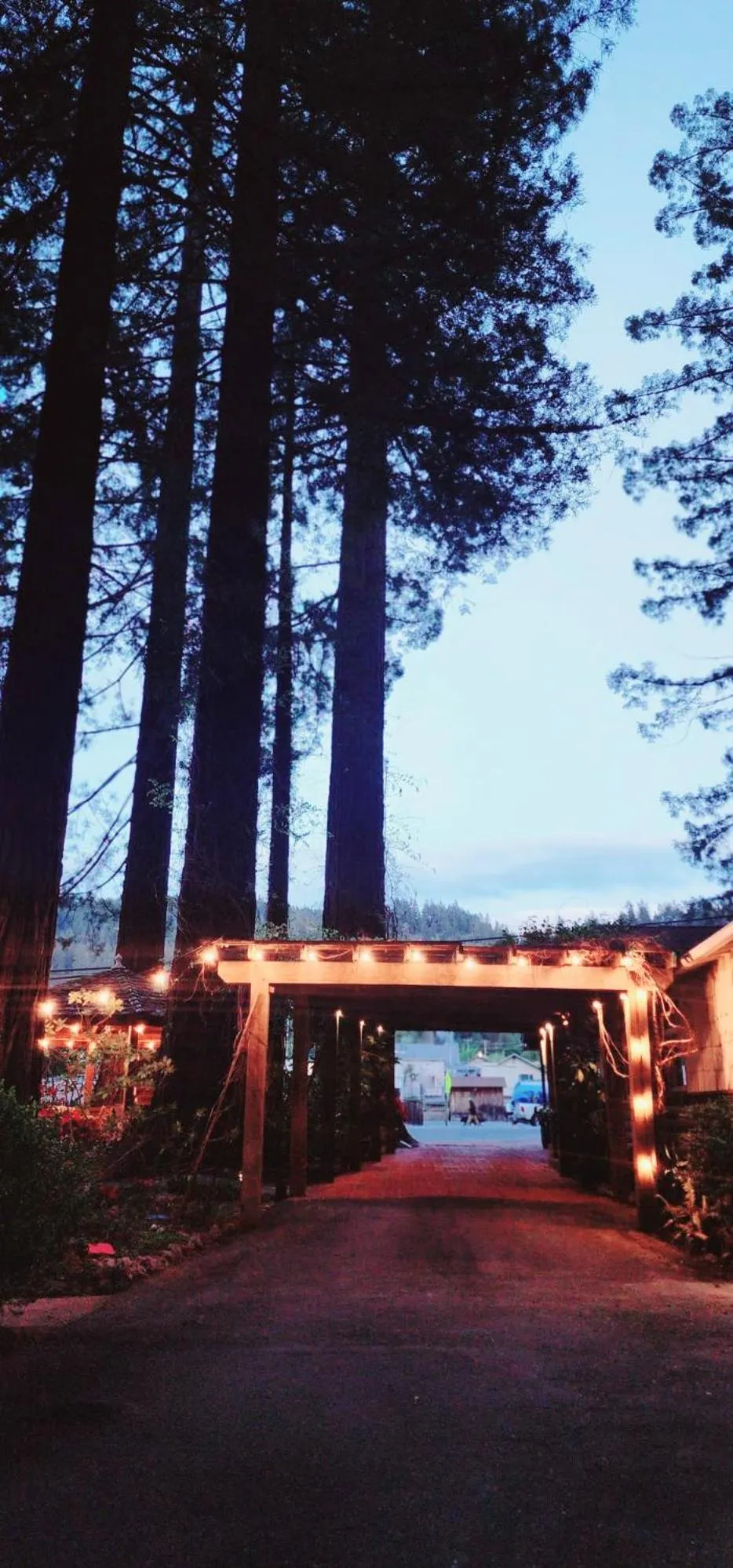 Miranda Gardens Resort