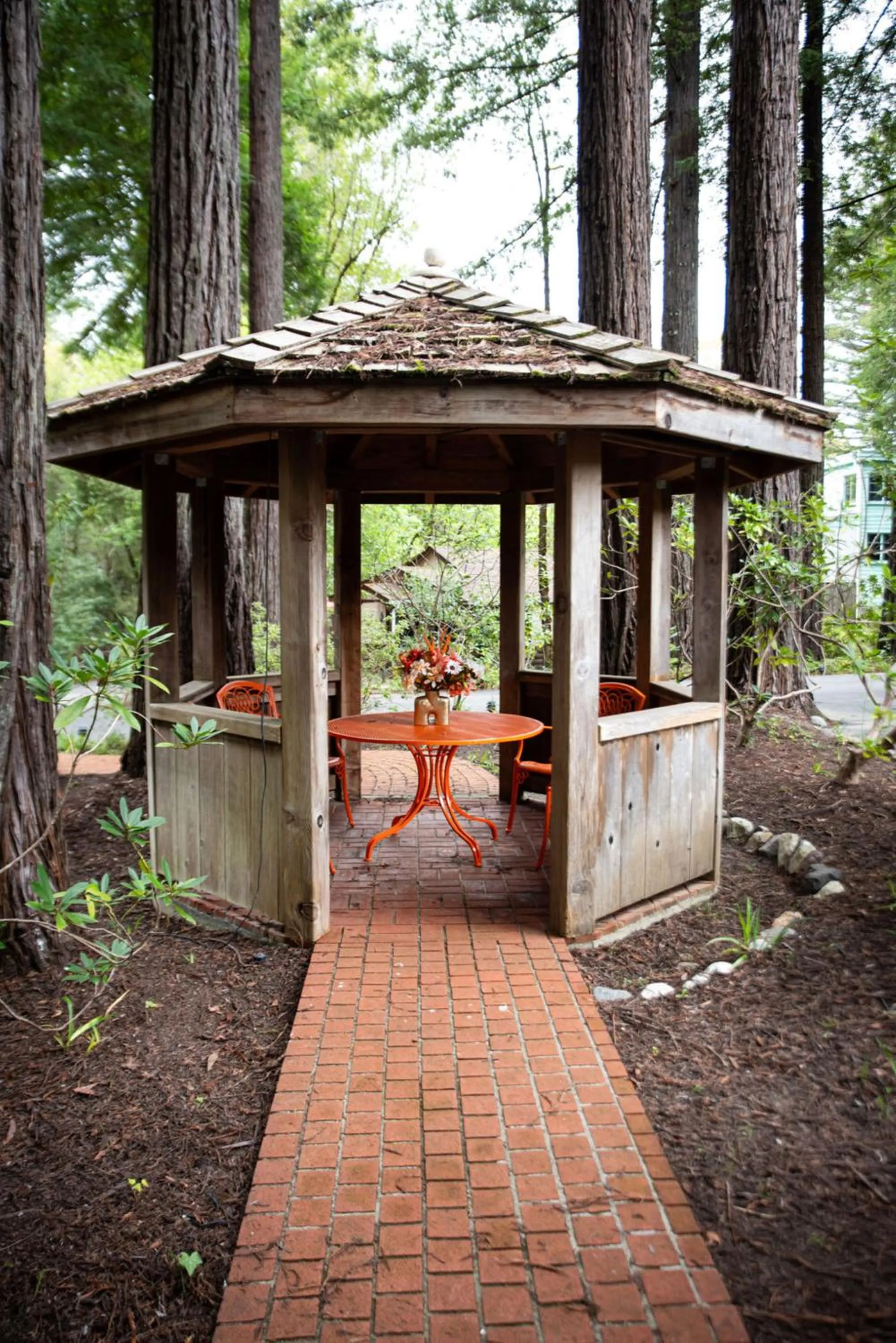 Garden in Miranda Gardens Resort