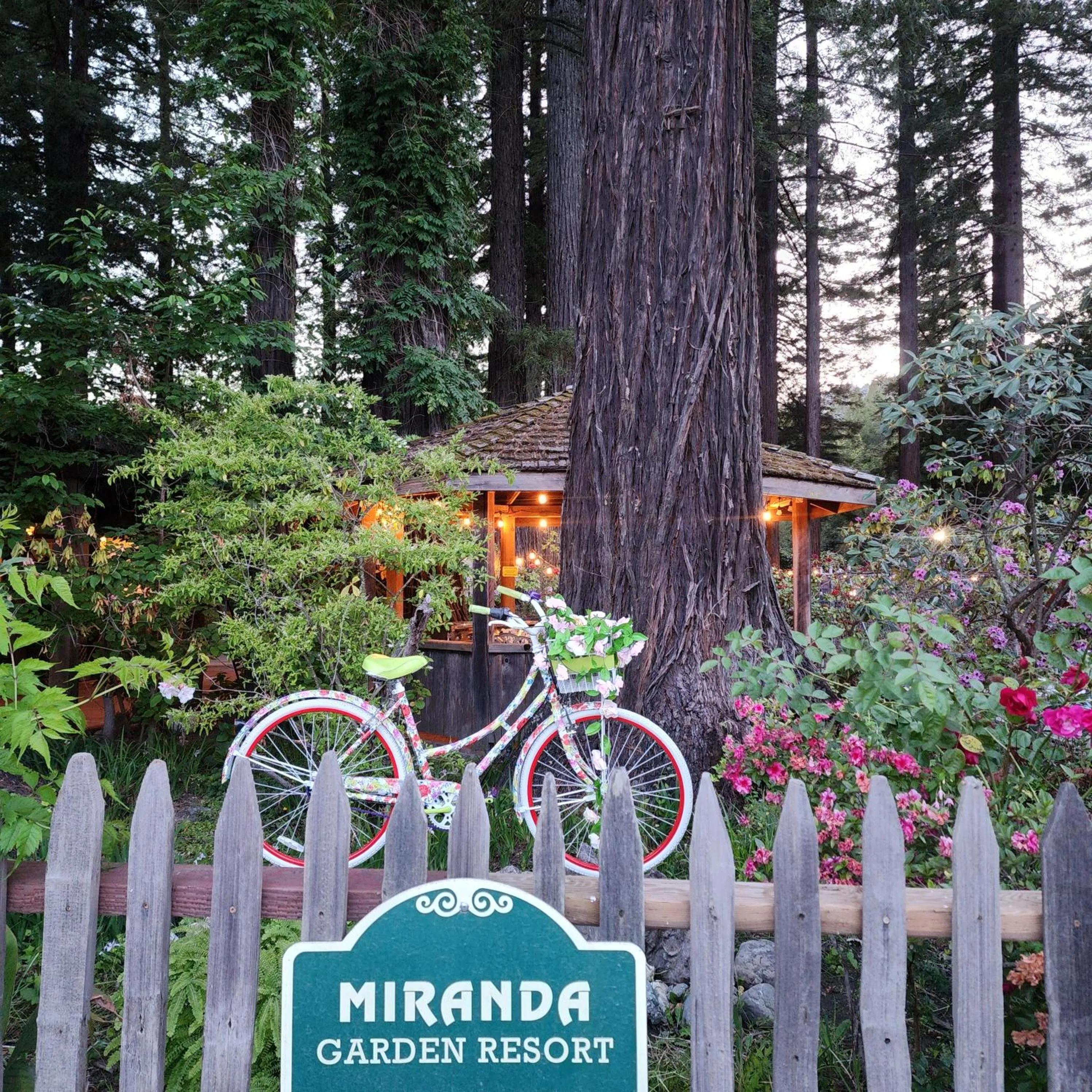 Garden in Miranda Gardens Resort