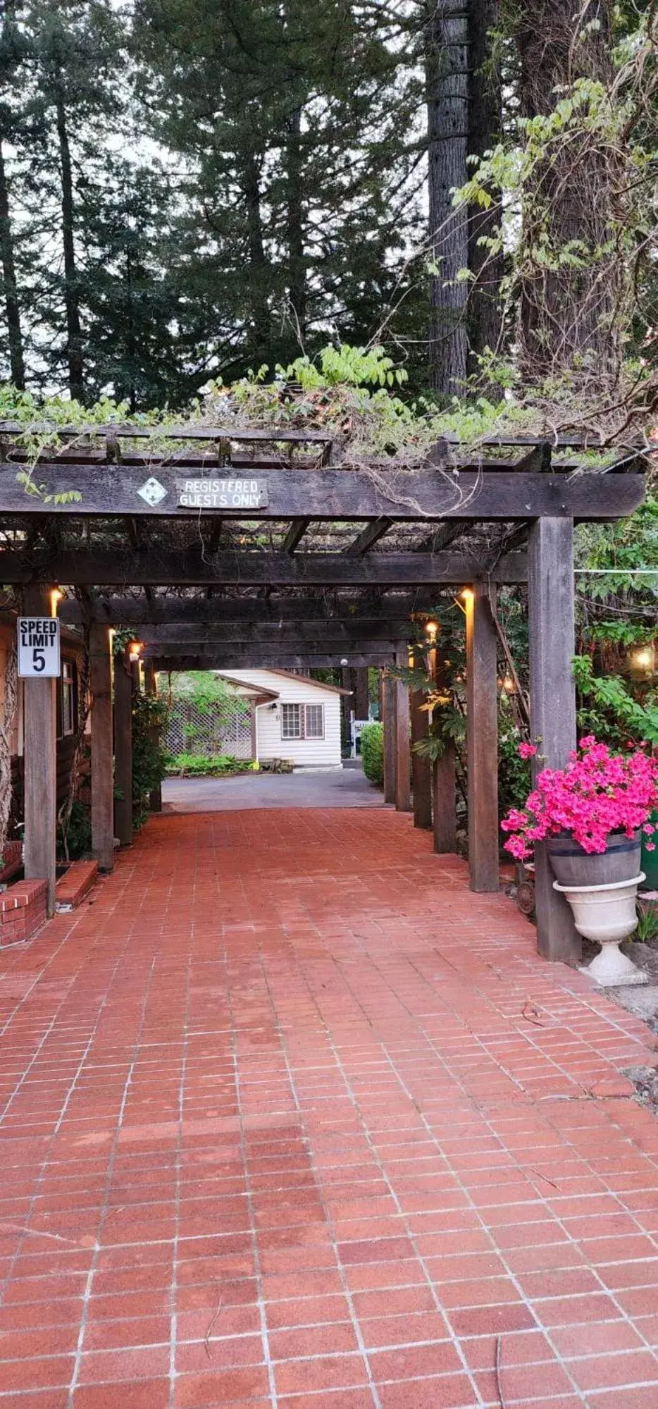 Deluxe Queen Suite in Miranda Gardens Resort Deluxe Queen Suite in Miranda Gardens Resort