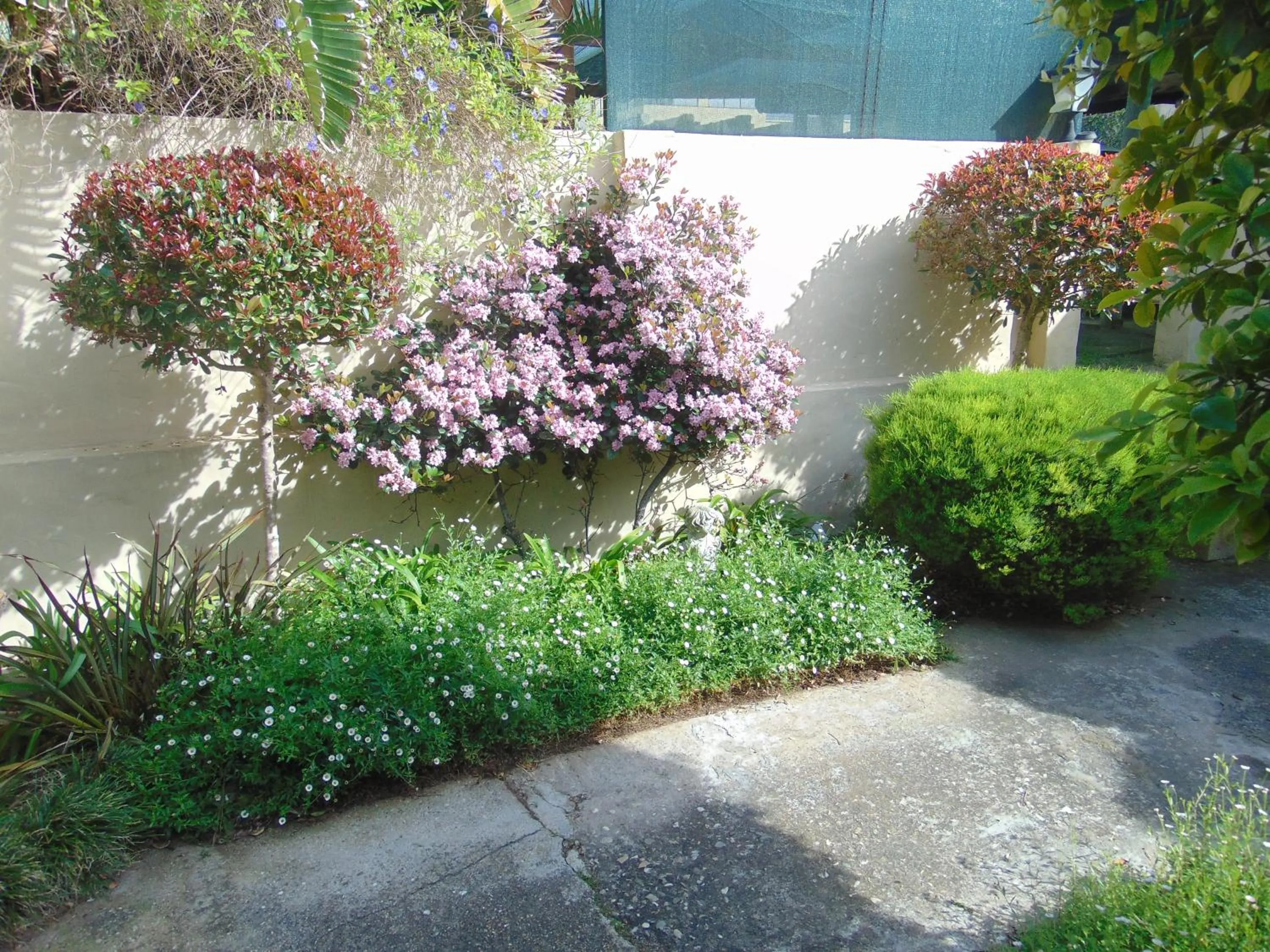 Garden in Whale Watchers Inn
