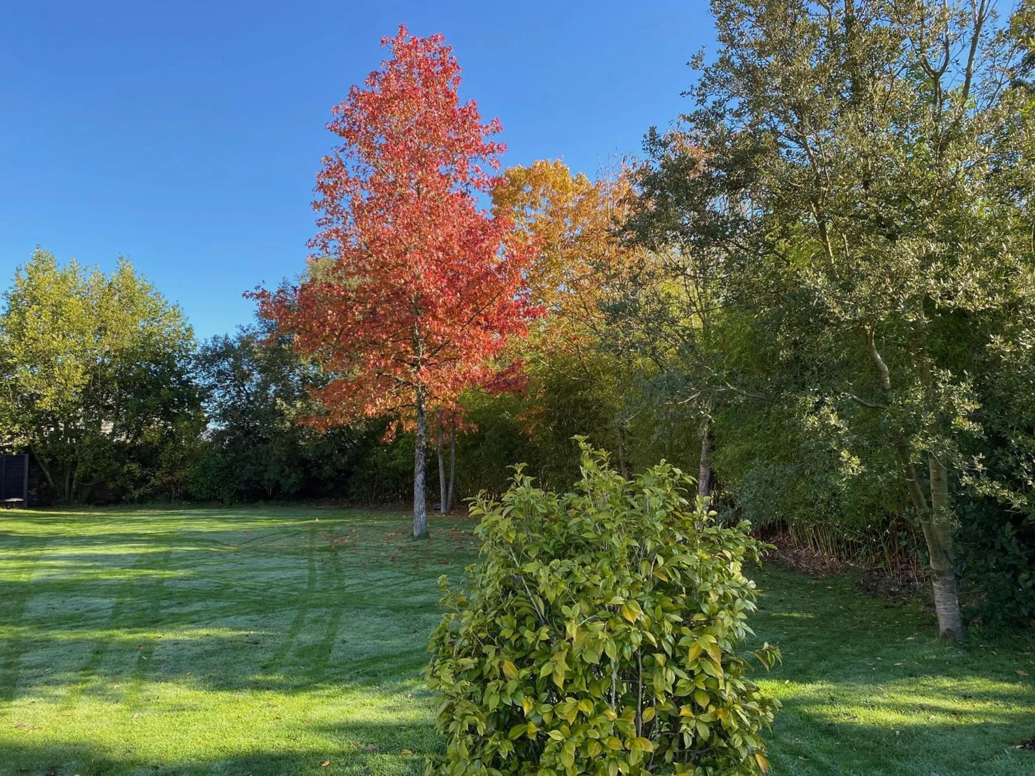 Garden in Château de la Garnison