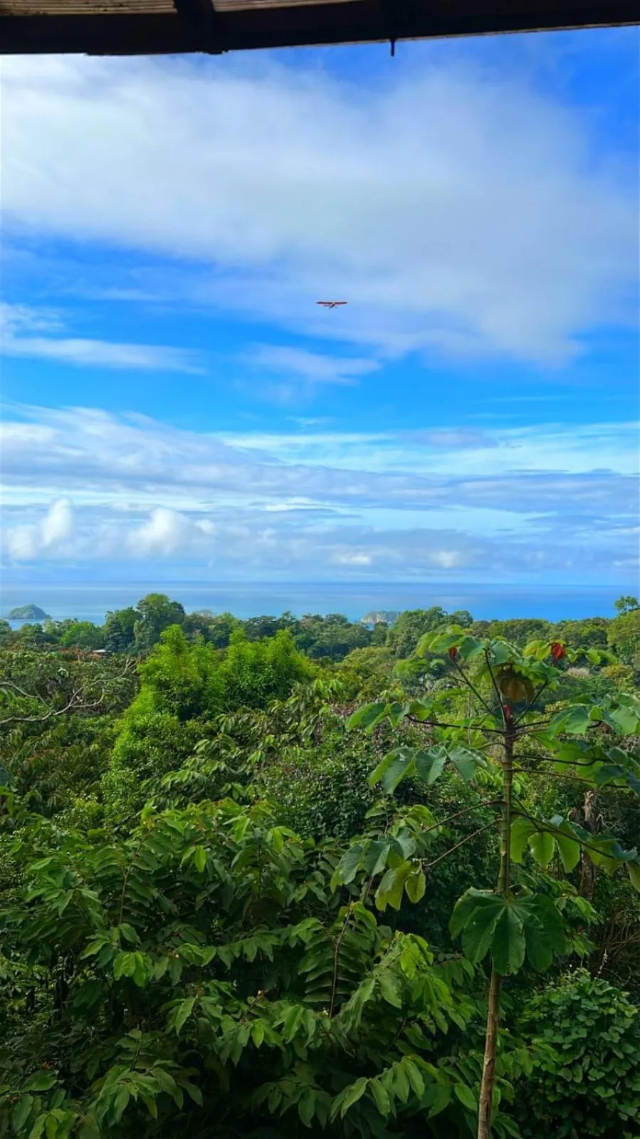 Sea view in Mountain Top Park Hotel