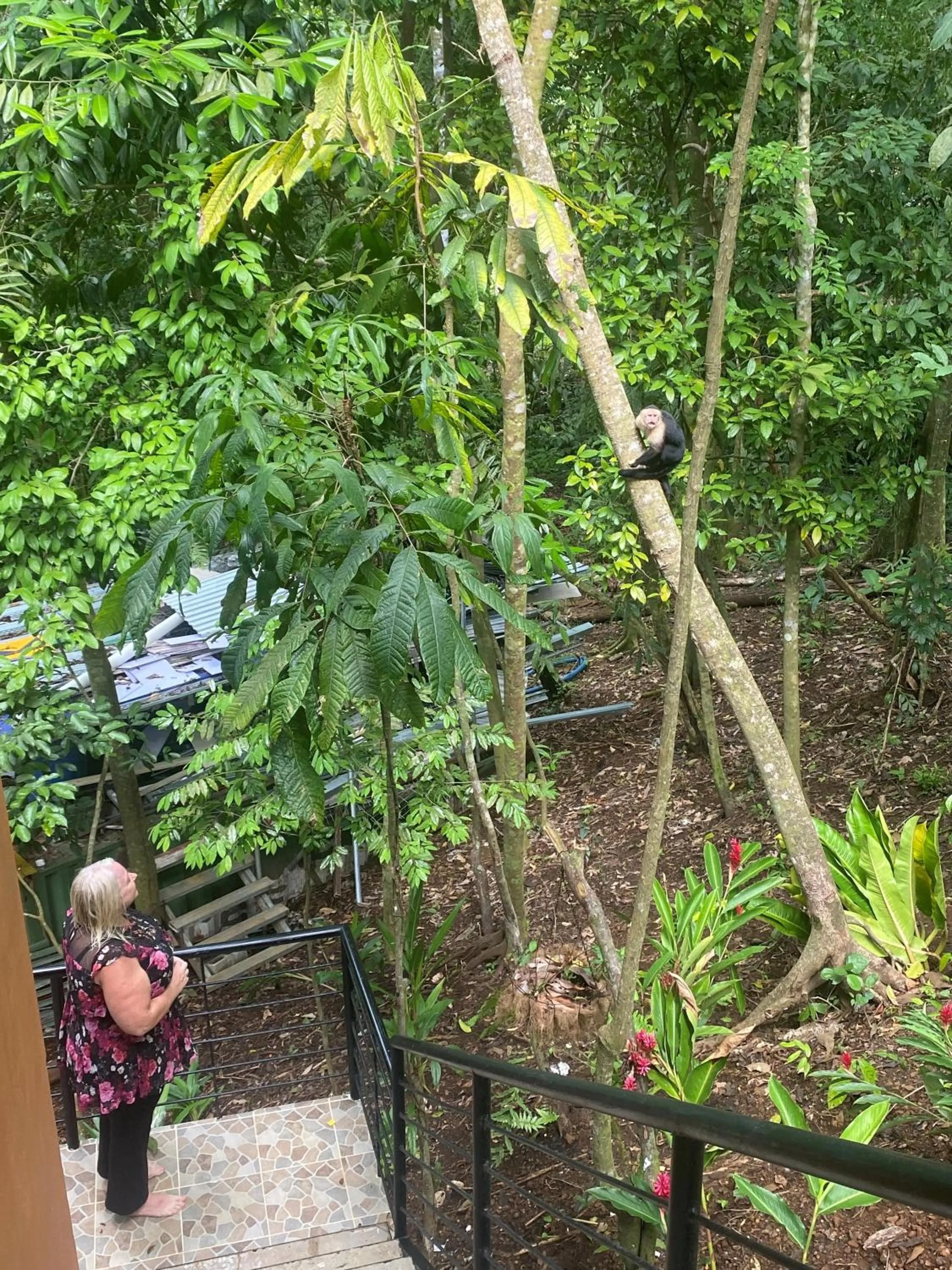 Property building in Mountain Top Park Hotel