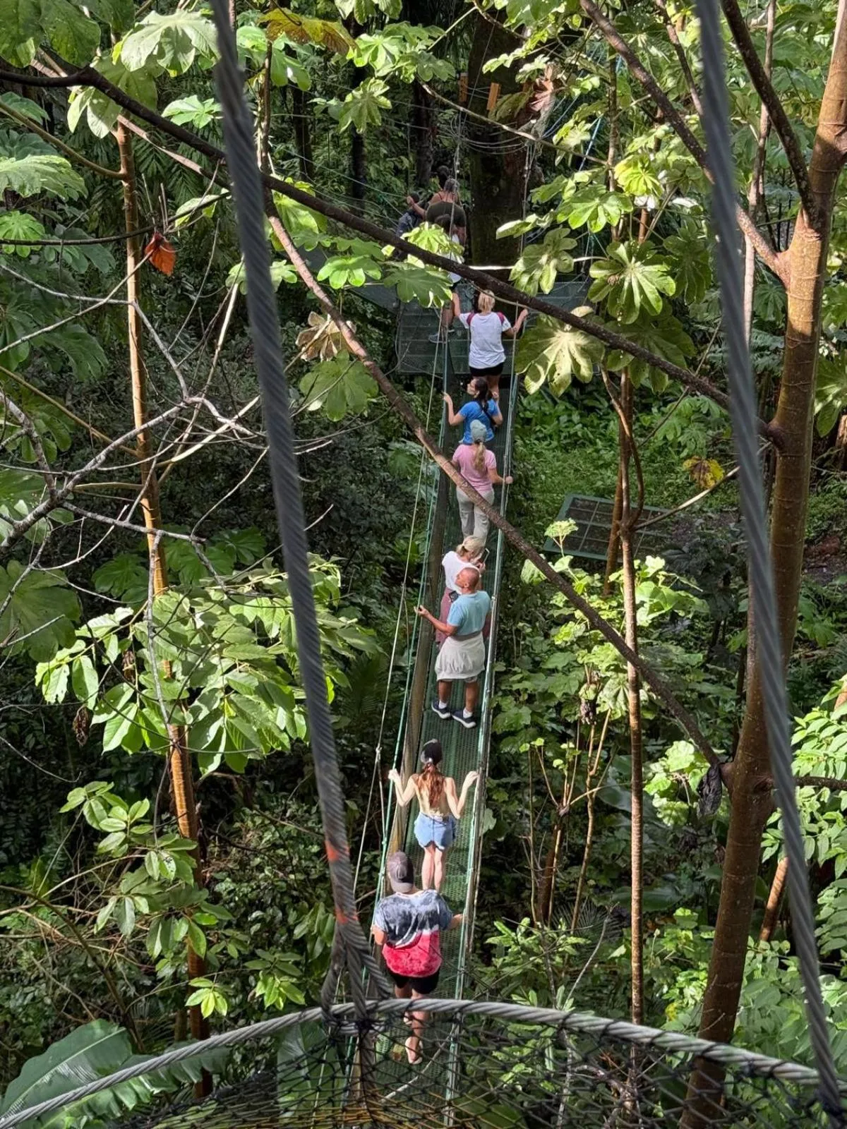 group of guests in Mountain Top Park Hotel
