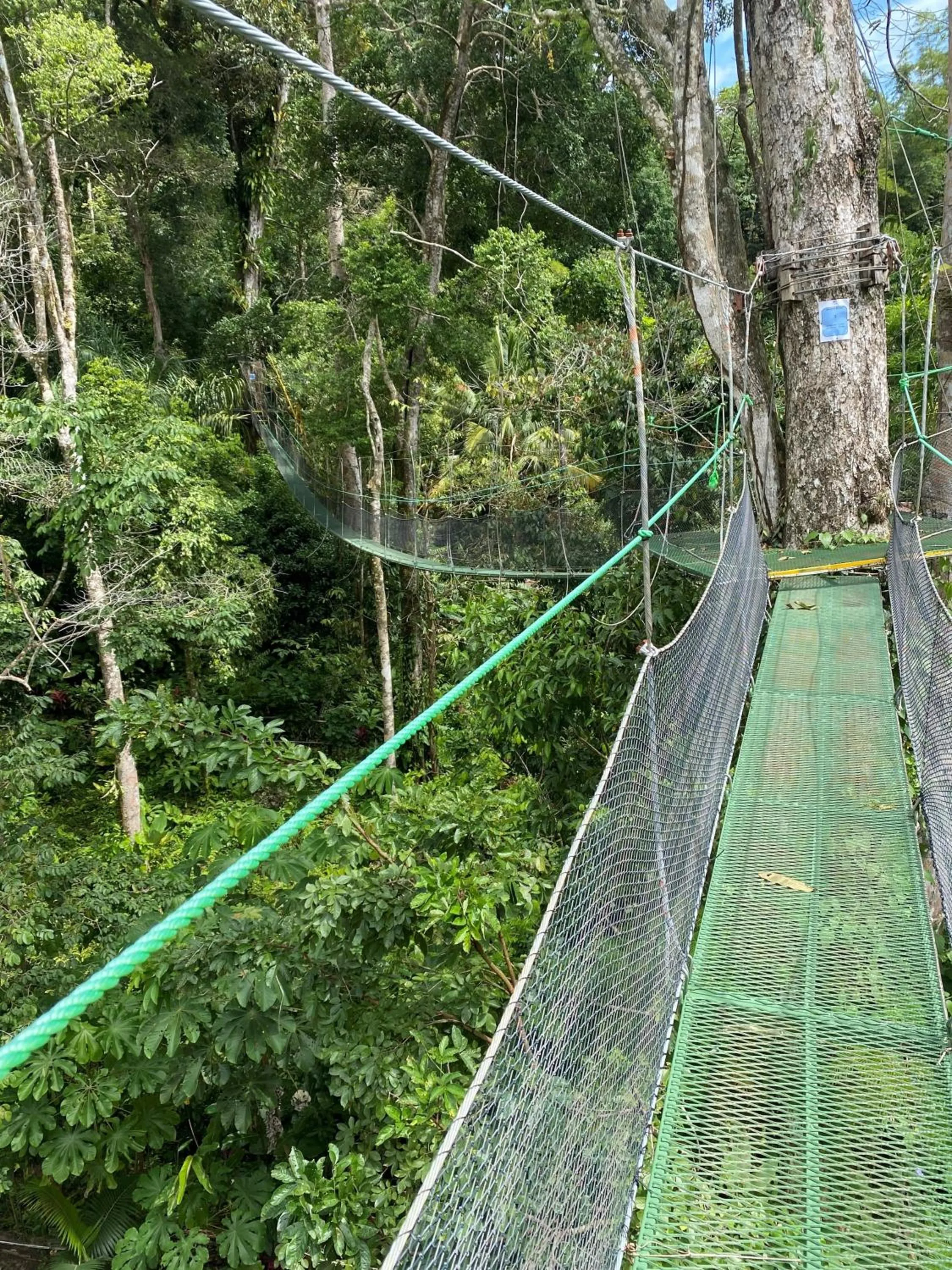 Day in Mountain Top Park Hotel