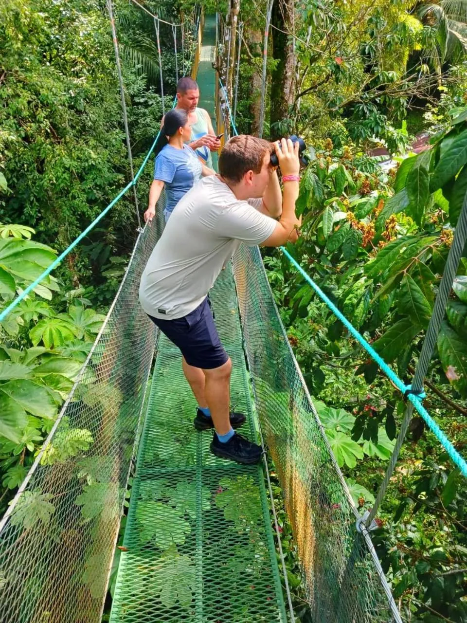 Bird's eye view in Mountain Top Park Hotel
