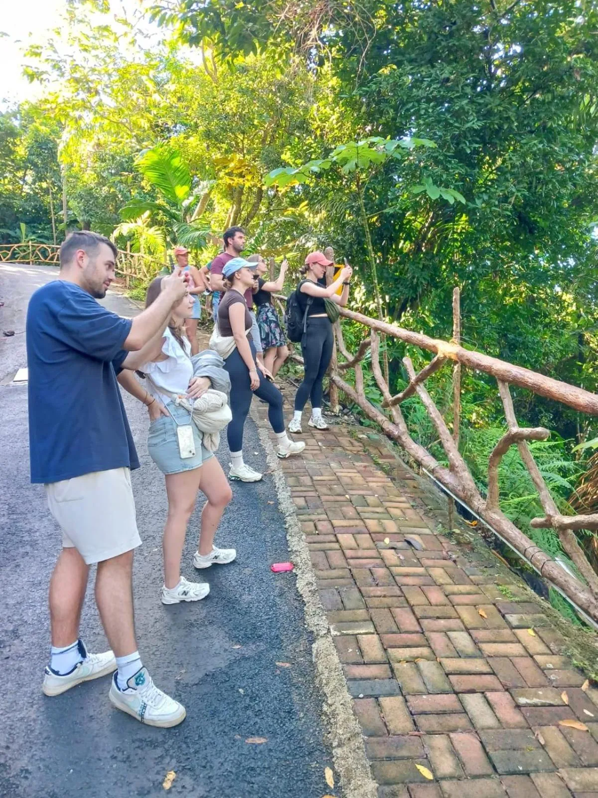 Animals in Mountain Top Park Hotel