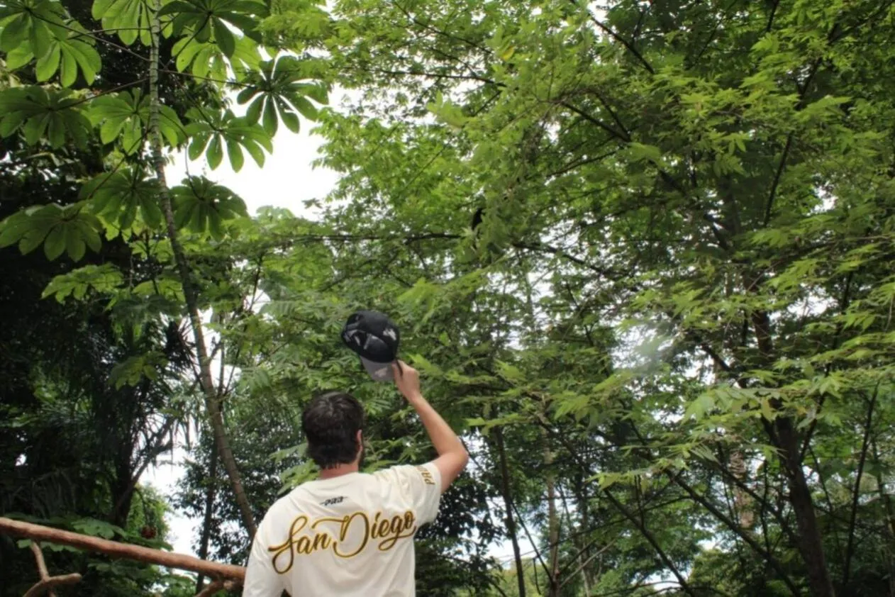 Property building in Mountain Top Park Hotel