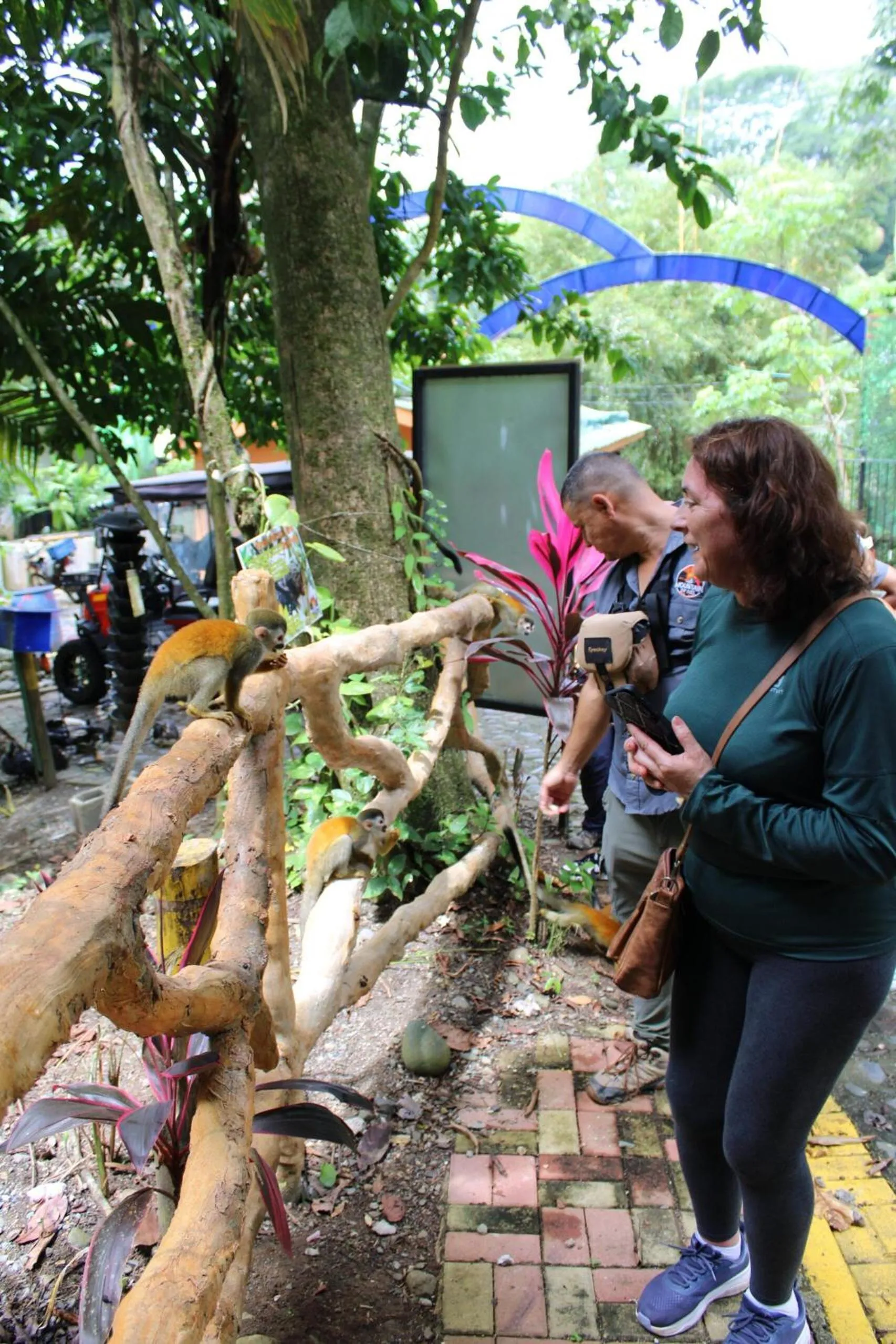Animals in Mountain Top Park Hotel