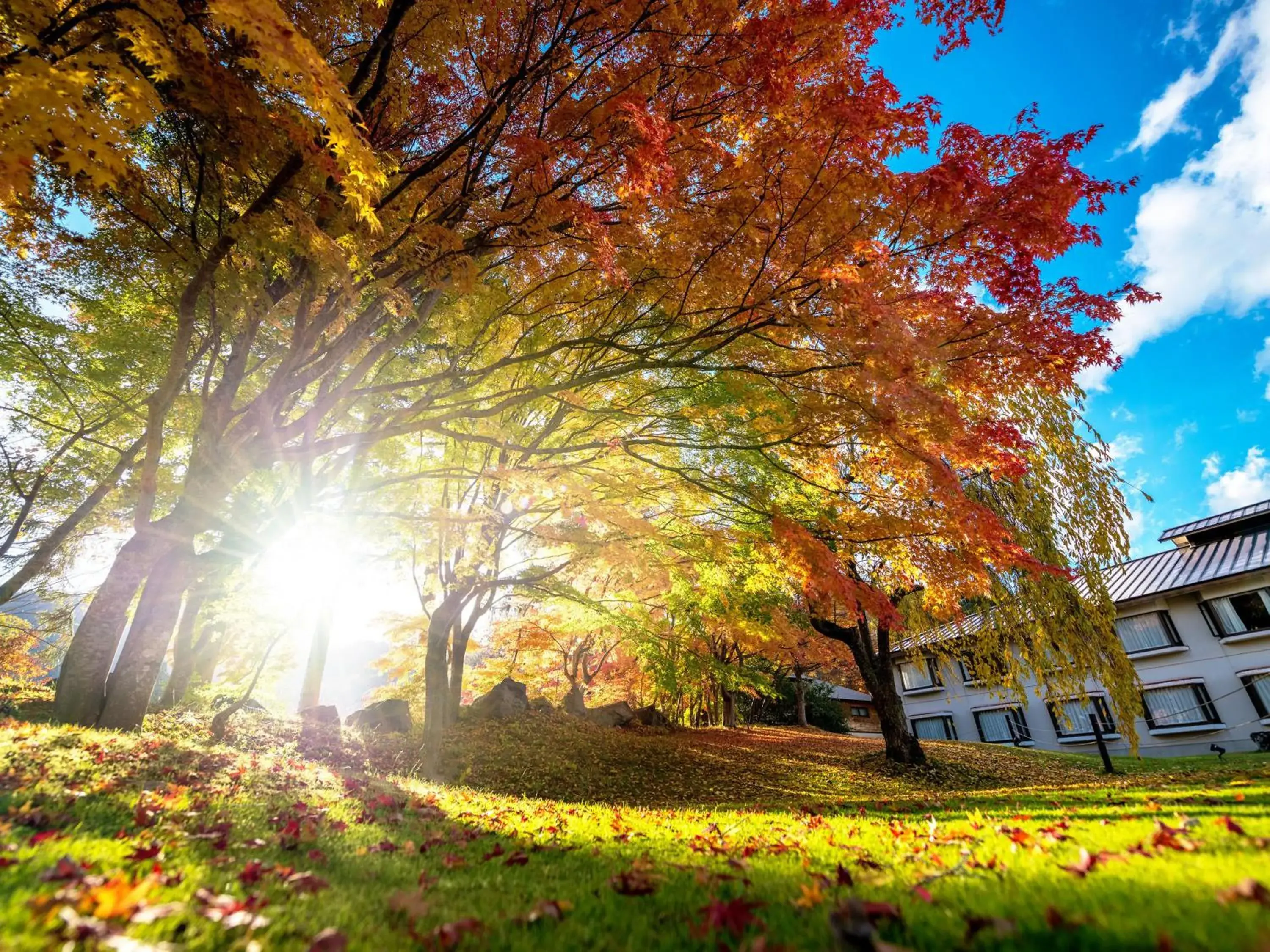 Garden view in Towada Prince Hotel Garden view in Towada Prince Hotel