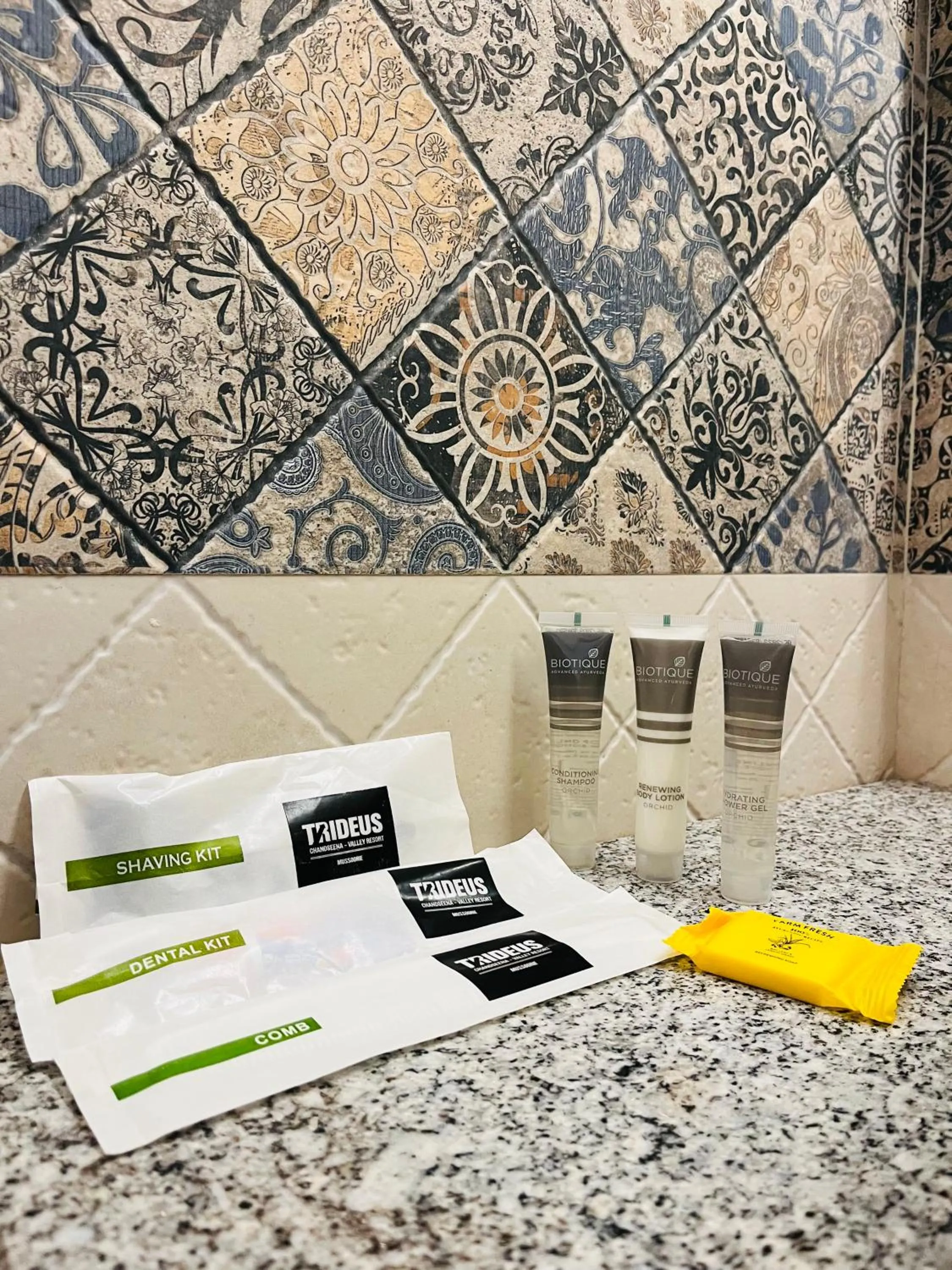 Bathroom in Trideus Mountain Club & Resort, Mussoorie