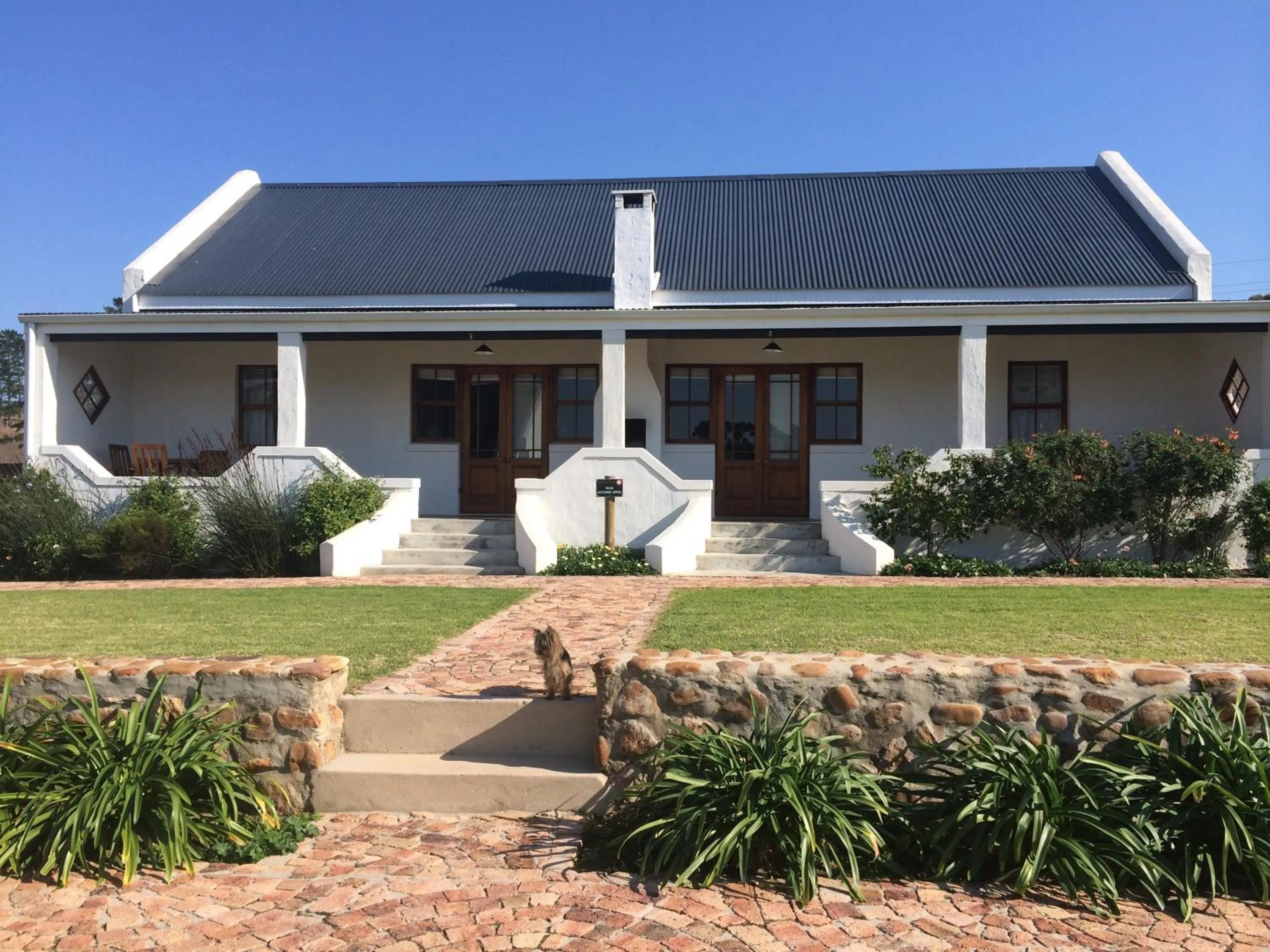 Property building in Endless Vineyards at Wildekrans Wine Estate