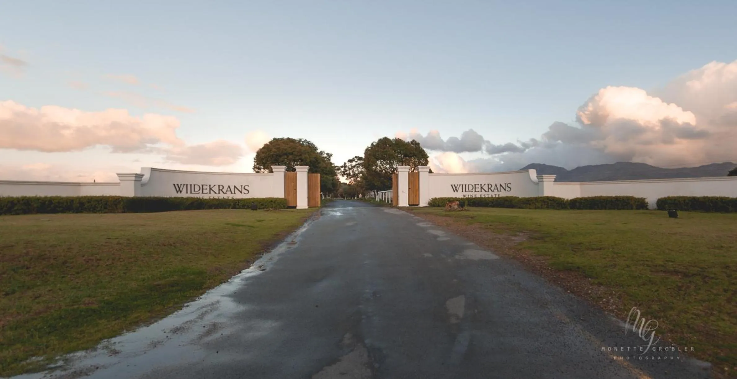 Property building in Endless Vineyards at Wildekrans Wine Estate