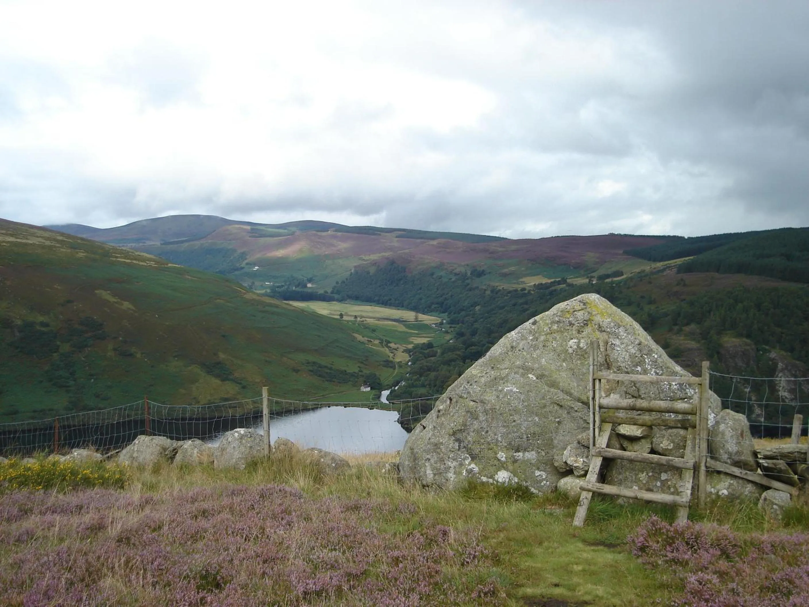 Natural landscape in Lough Dan House
