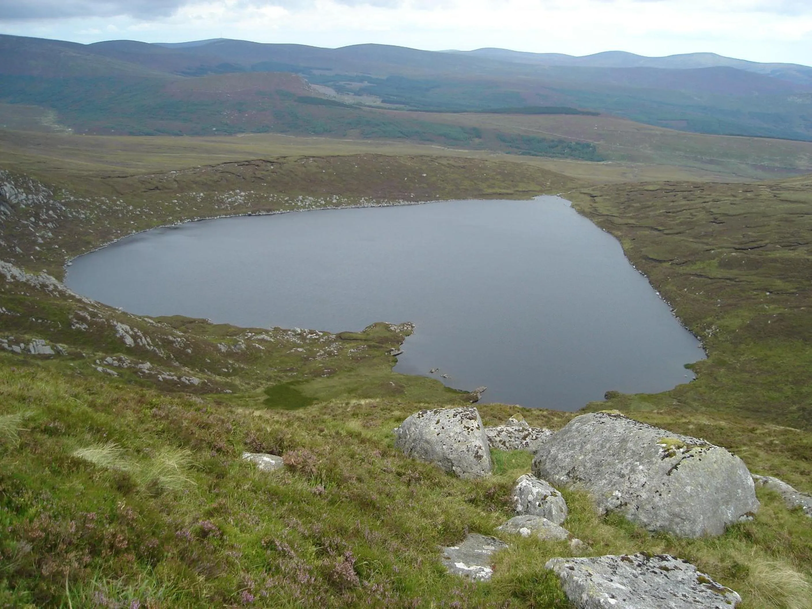 Natural landscape in Lough Dan House