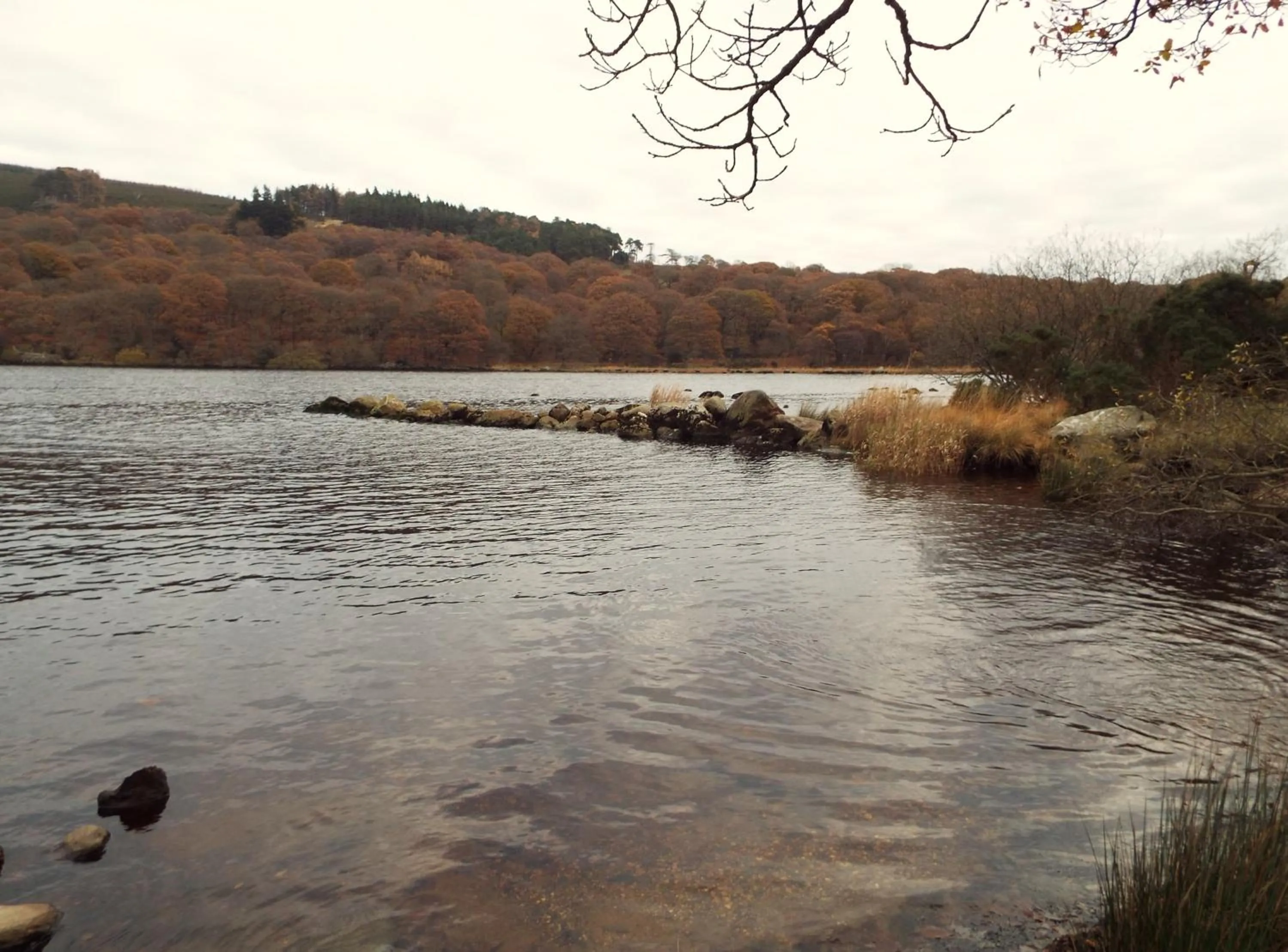 Natural landscape in Lough Dan House