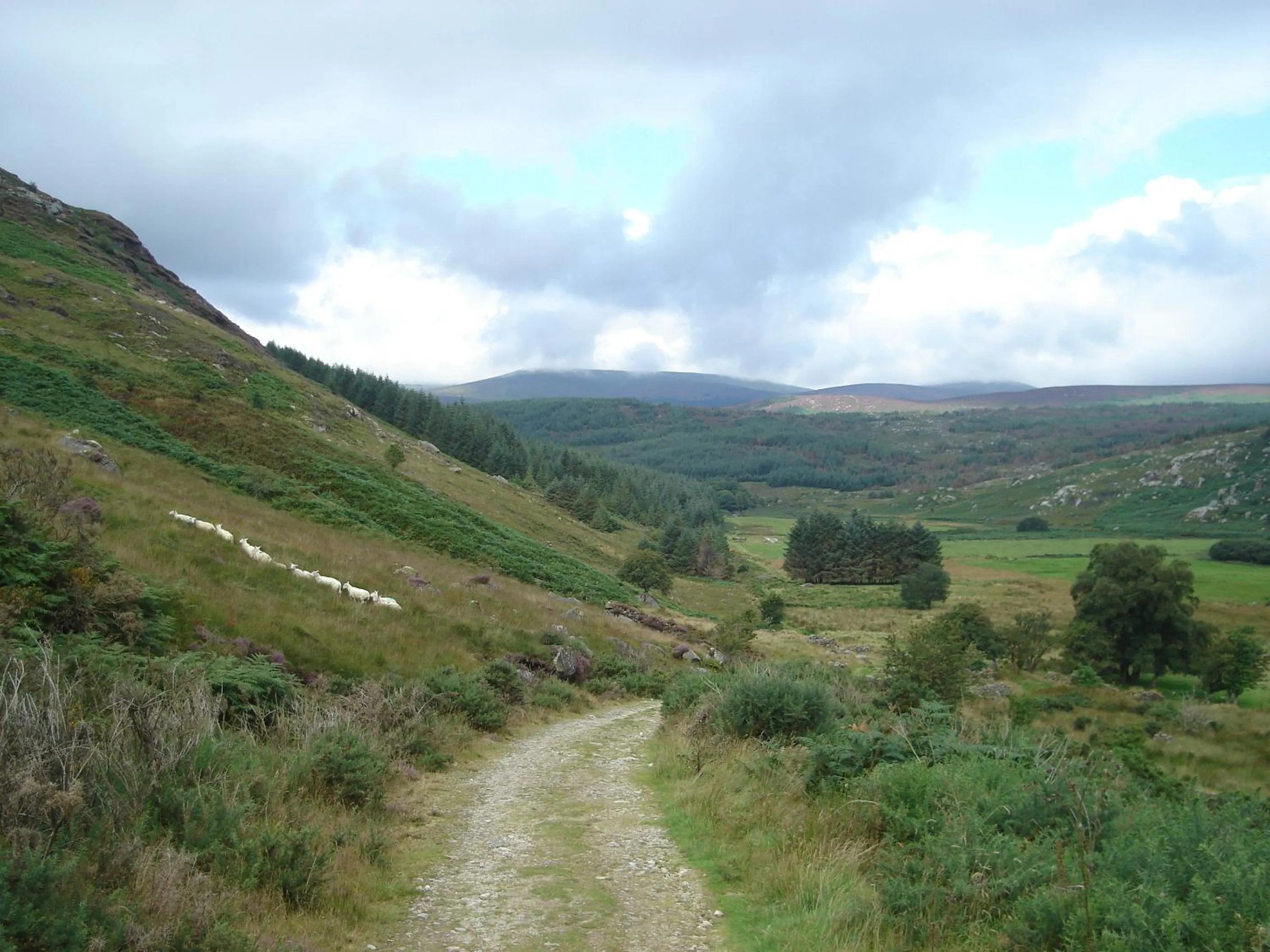 Natural landscape in Lough Dan House