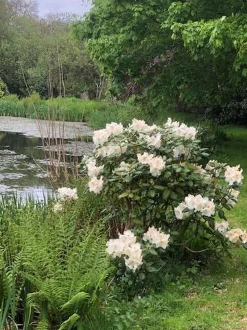 Spring in Polgwedhen Lodge