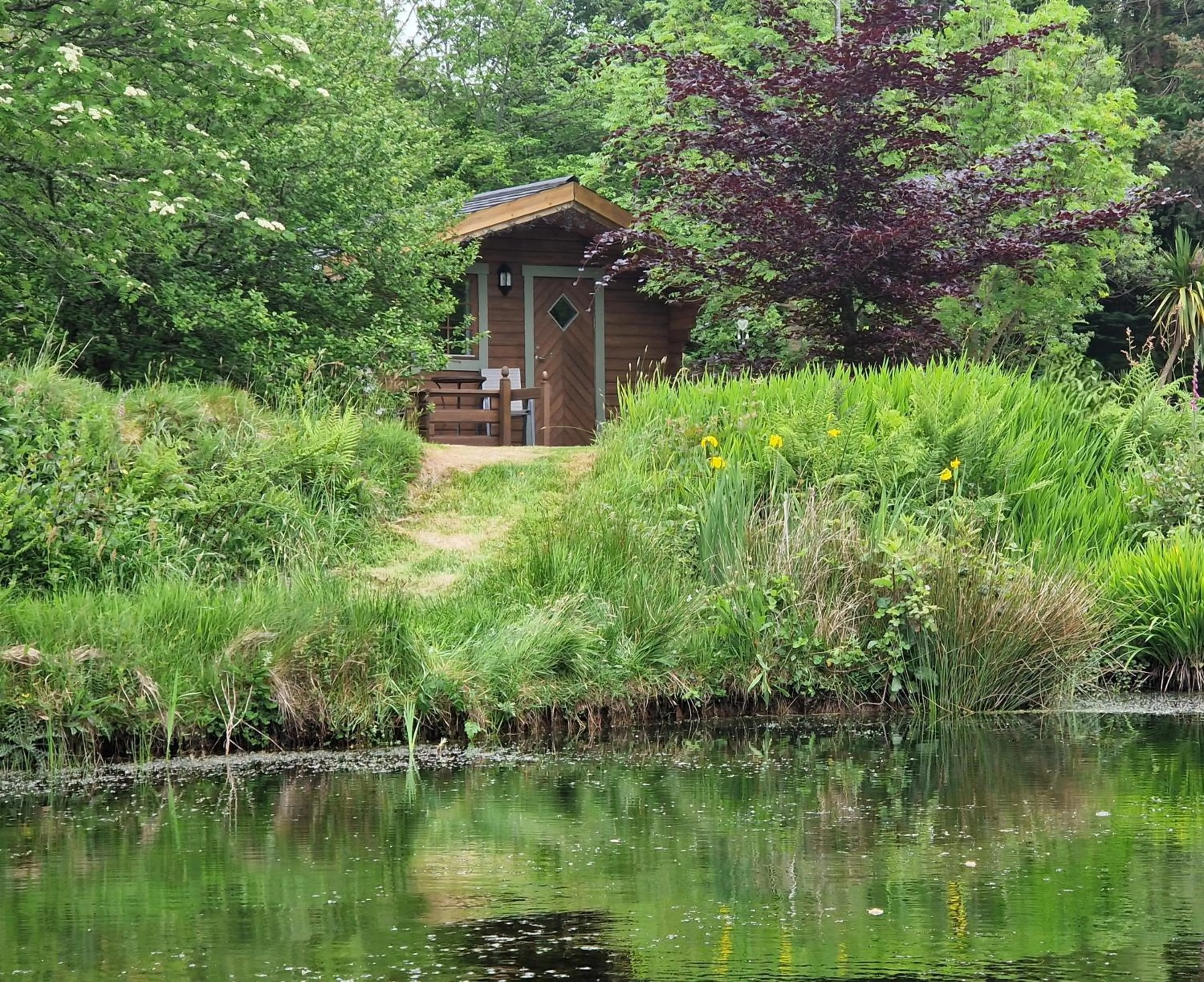 Garden in Polgwedhen Lodge