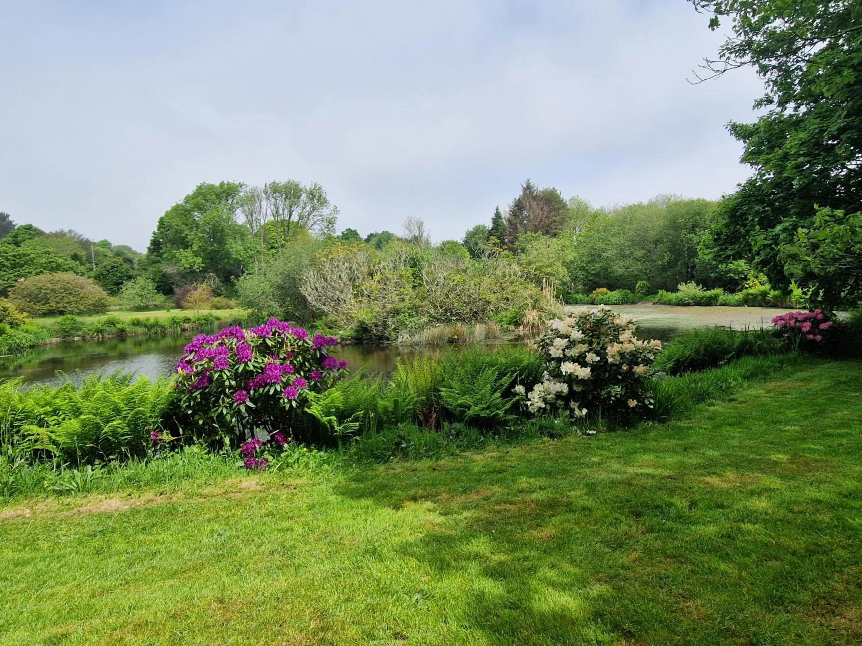 Garden view in Polgwedhen Lodge