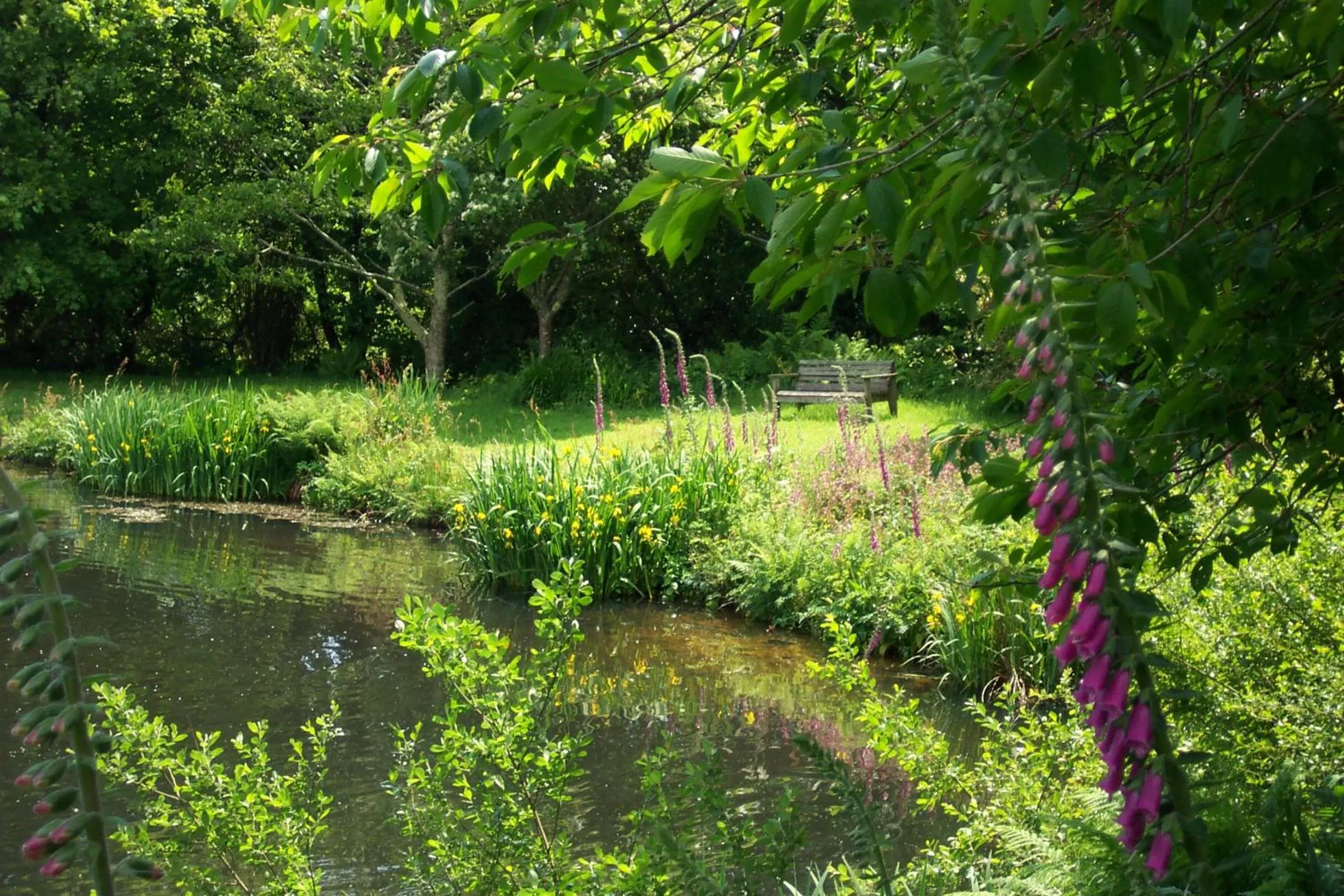 Garden in Polgwedhen Lodge