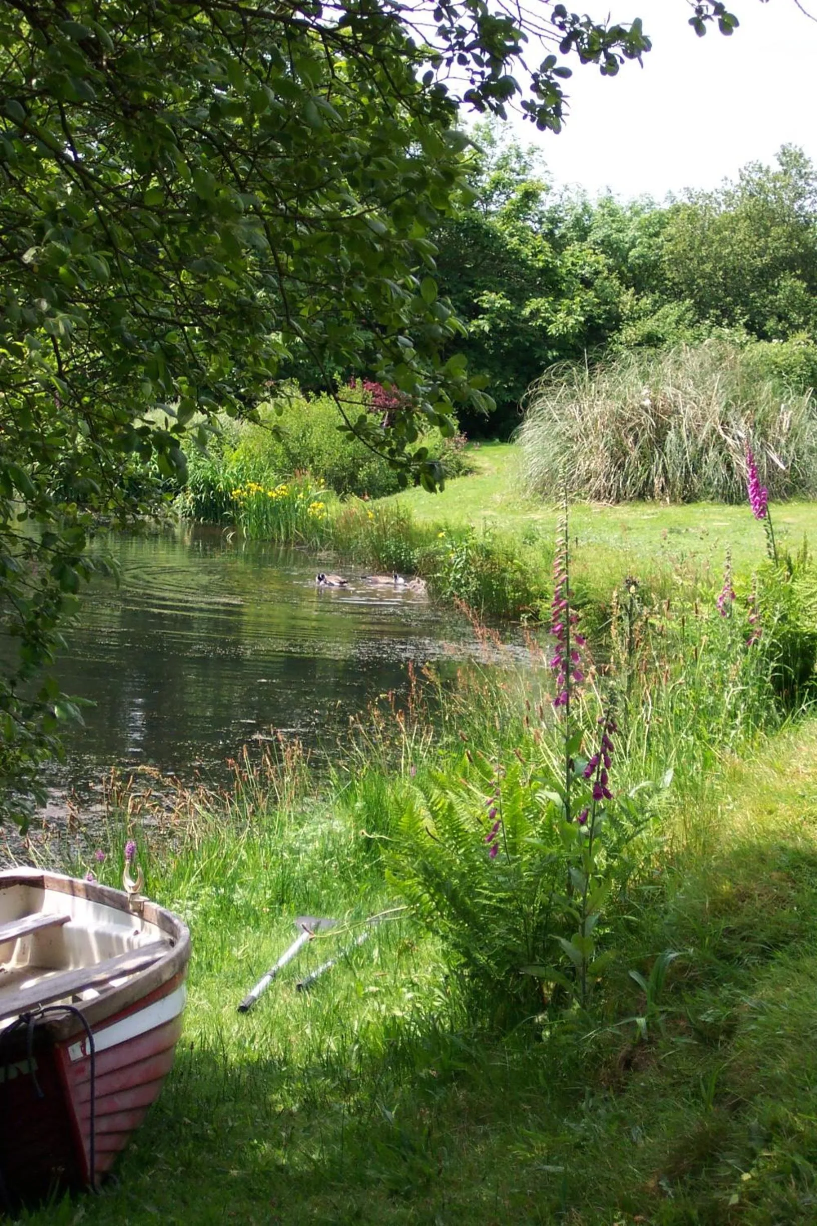 Garden in Polgwedhen Lodge