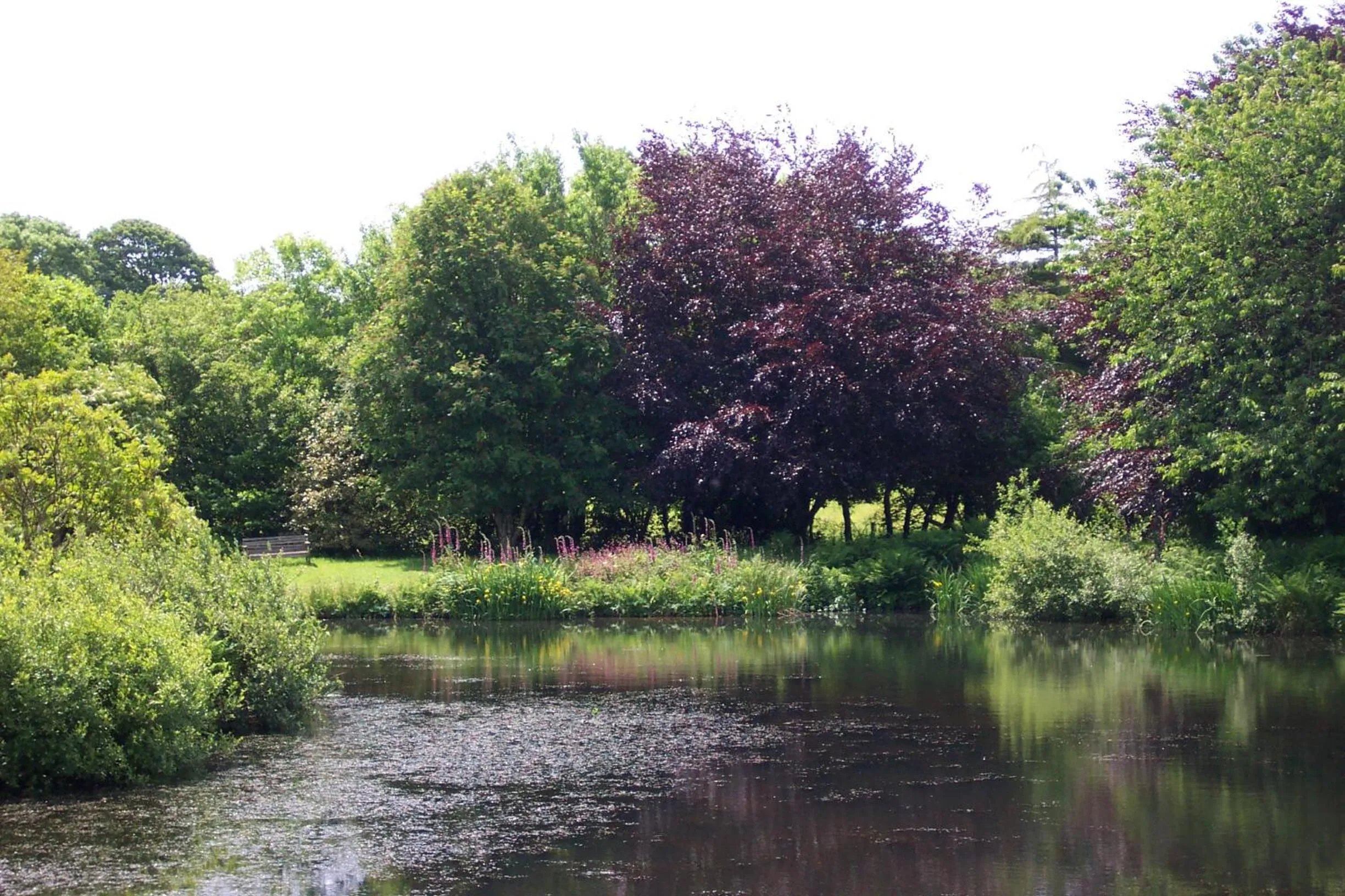 Garden in Polgwedhen Lodge