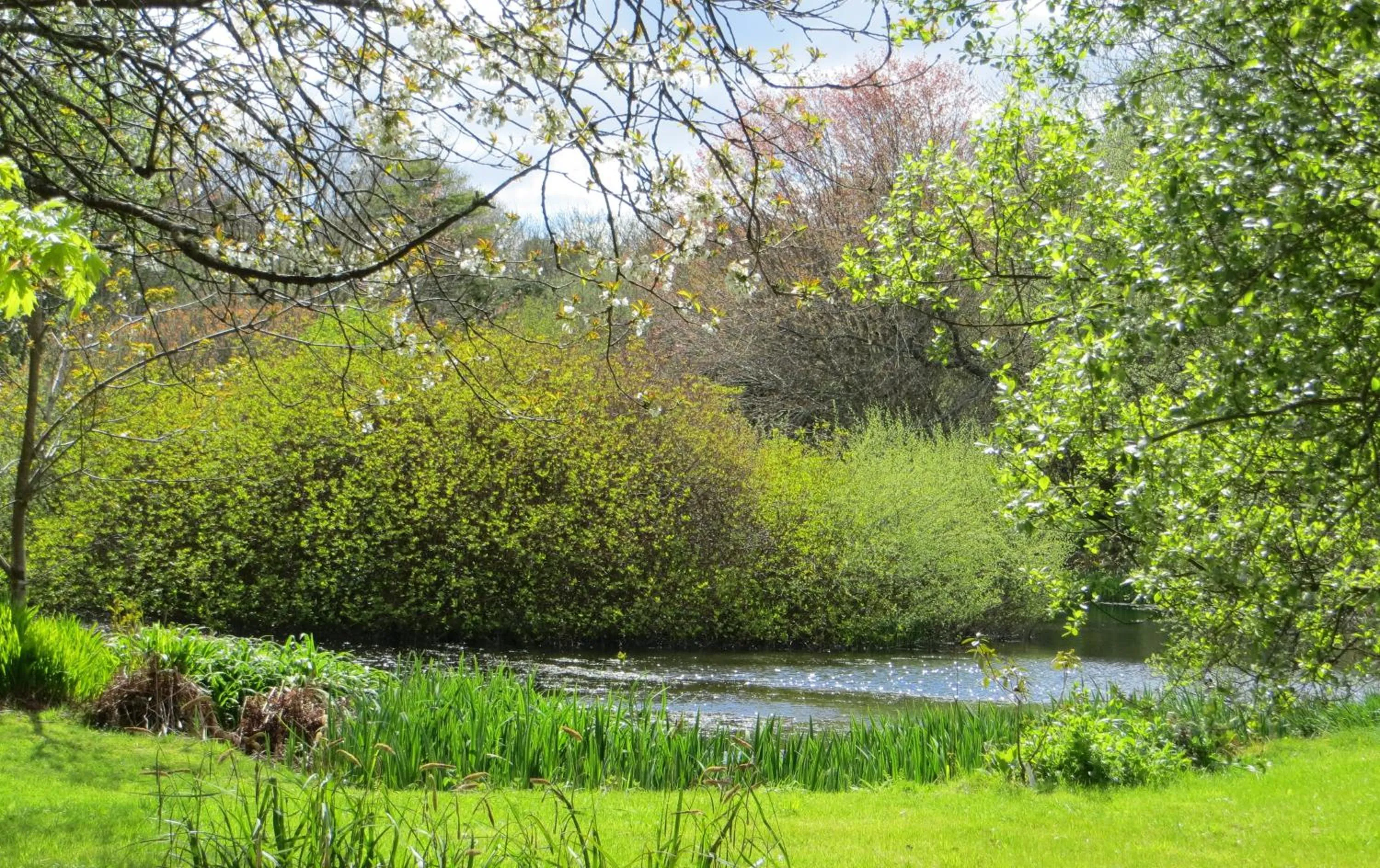 Garden in Polgwedhen Lodge