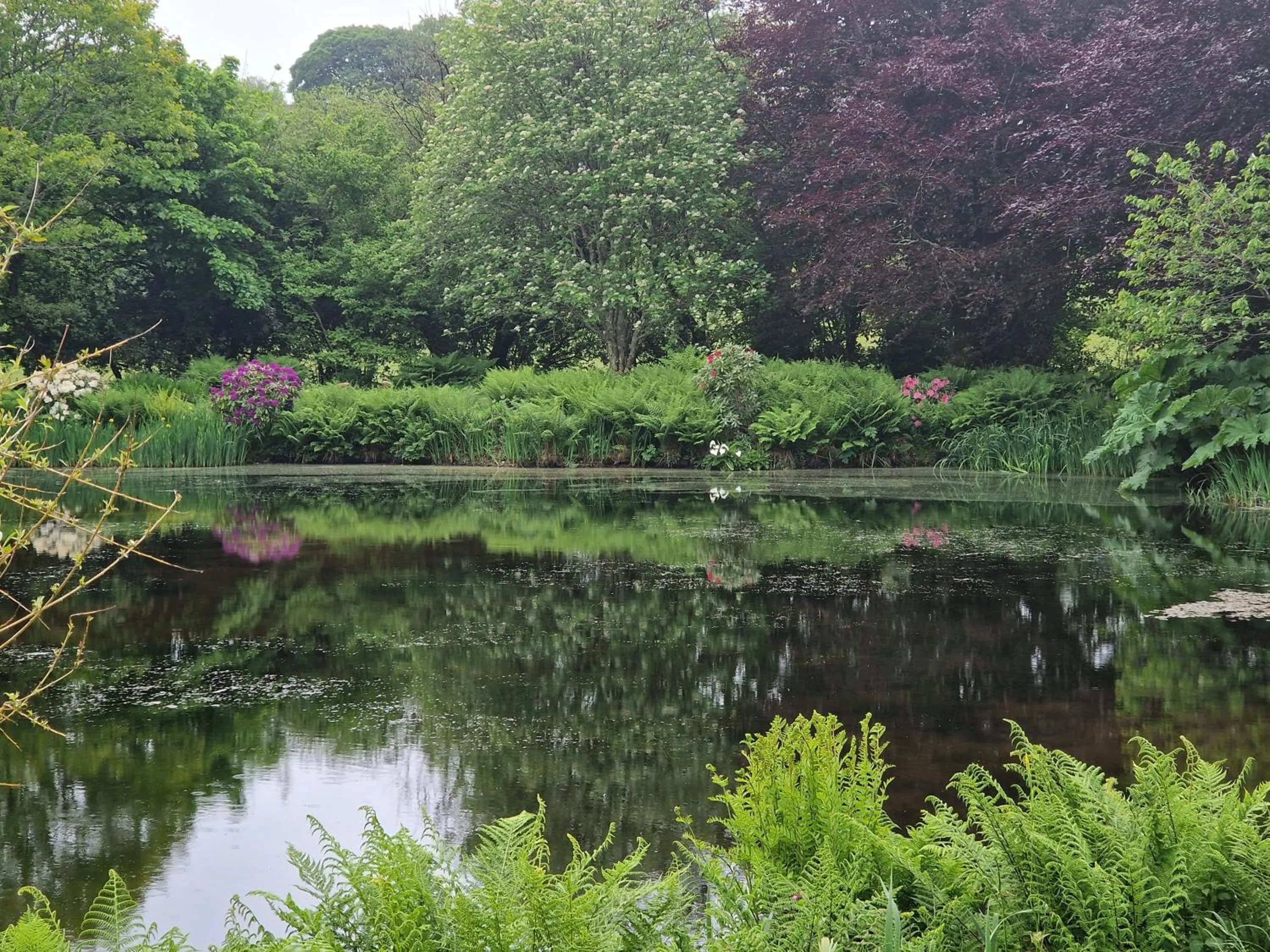 Garden view in Polgwedhen Lodge